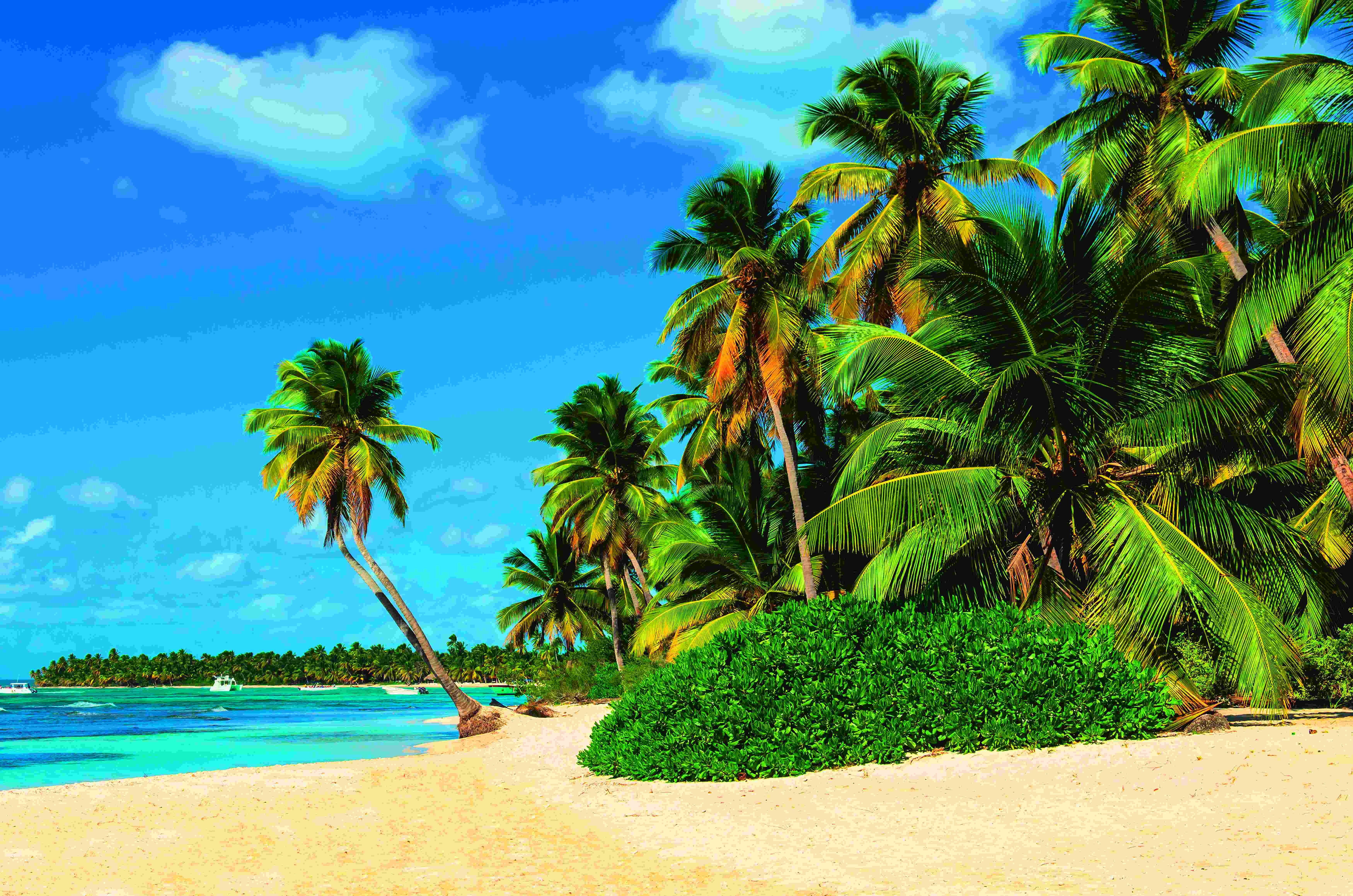 Papermoon Poster POSTER Nr.098 Exotic Palm Beach, 61 X 91,5 CM, (Beach Strand Palmen Sand Abstrakt Querformat), genormte Postergröße für Rahmen, Bild Dekoration Wanddeko Motiv Tapete