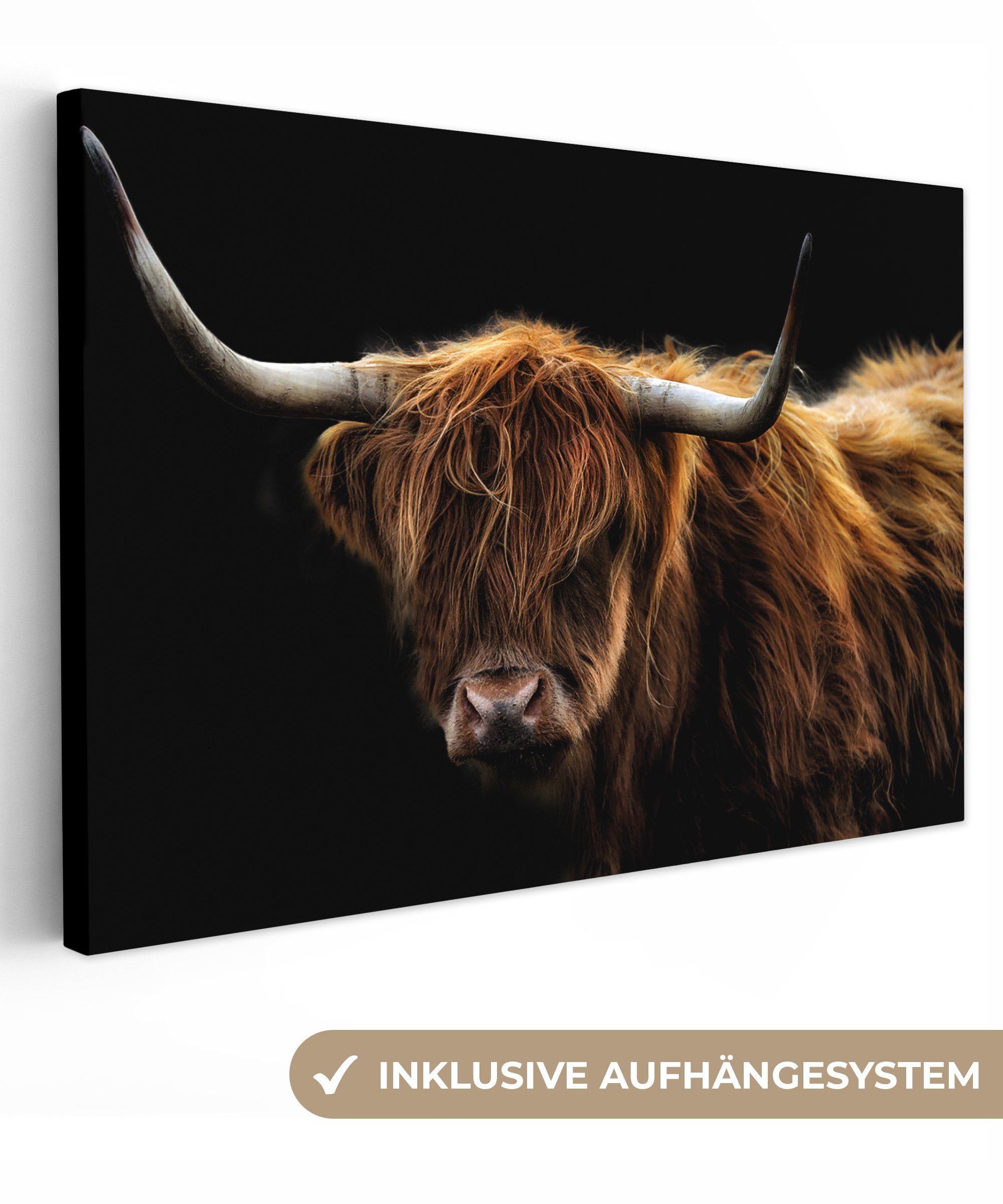 OneMillionCanvasses® Leinwandbild Schottischer Highlander - Hörner - Schwarz - Tiere - Natur - Wild -, Schottisches Hochlandrind (1 St), Wandbild für alle Wohnbereiche, Gemälde, XXL, großes, 120x80 cm