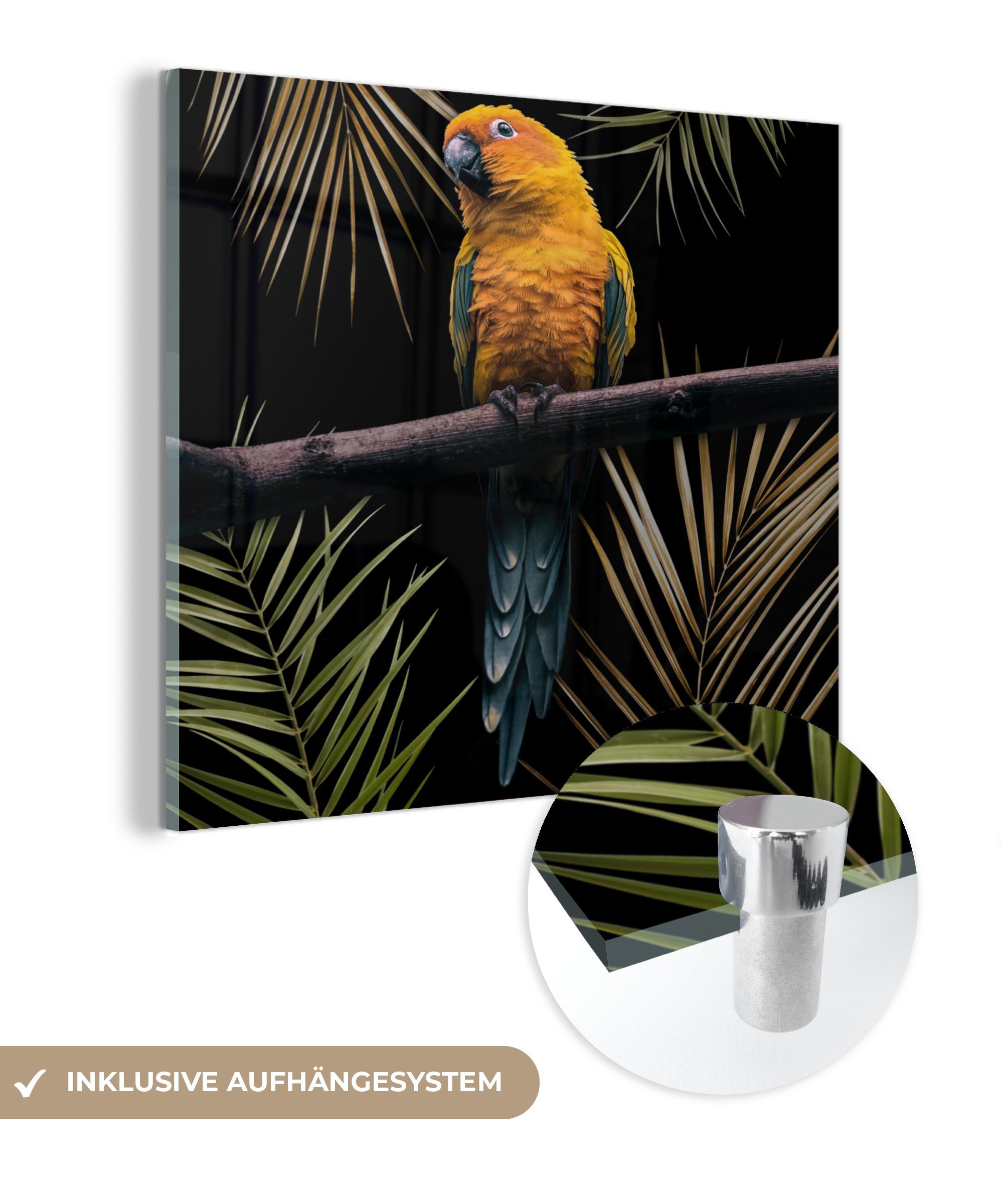 MuchoWow Acrylglasbild Vogel - Papagei - Zweig - Blätter, (1 St), Glasbilder - Bilder auf Glas Wandbild - Foto auf Glas - Wanddekoration