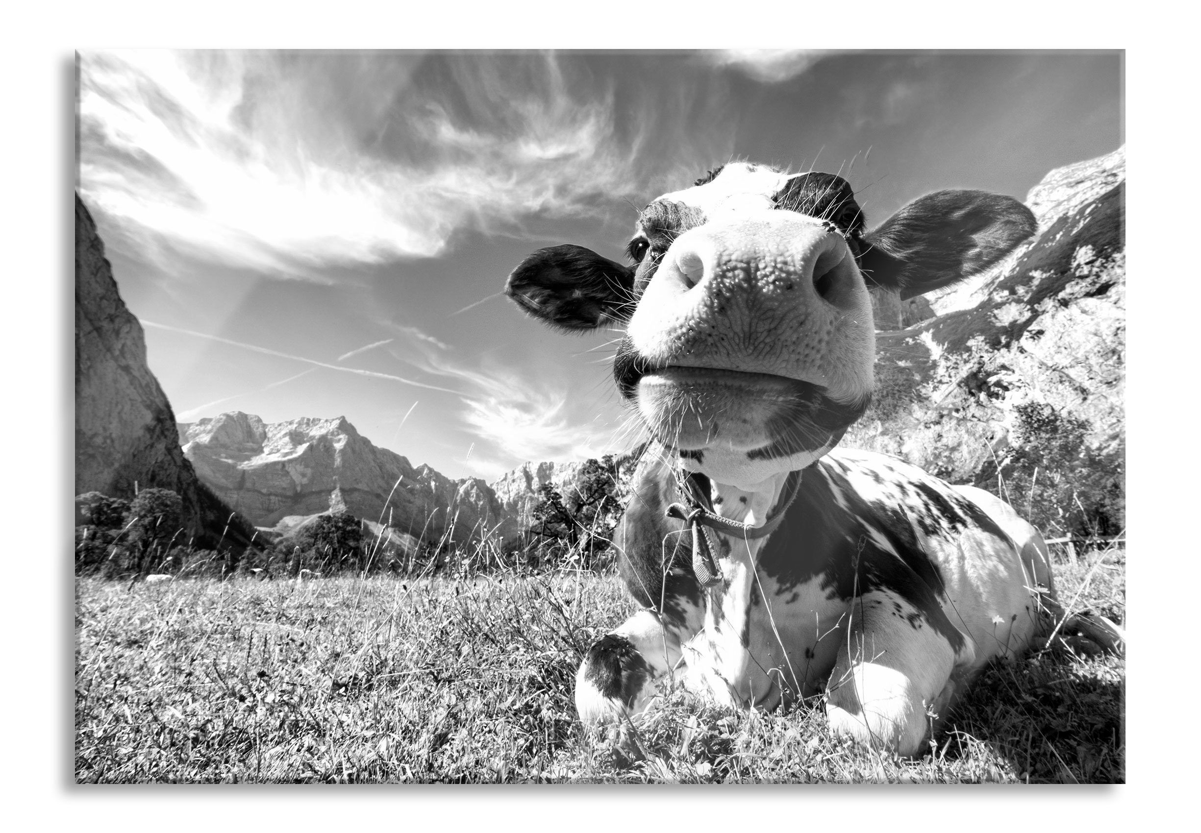 Pixxprint Glasbild Kuh im Karwendelgebirge Kunst B&W, Kuh im Karwendelgebirge Kunst B&W (1 St), Glasbild aus Echtglas, inkl. Aufhängungen und Abstandshalter