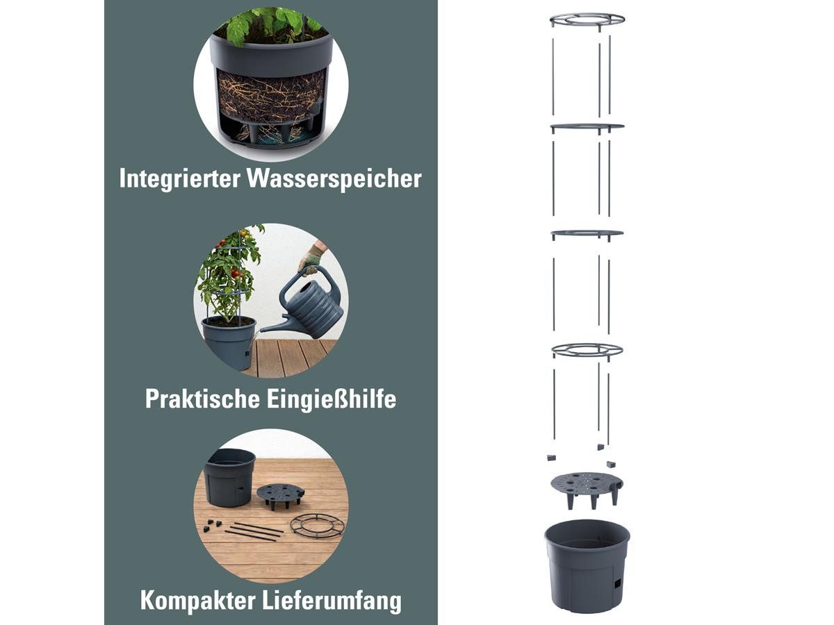Prosperplast Anzuchttopf für Tomaten, Gemüse (39,2 cm), inkl. Rankhilfe, Balkon, Terasse, Garten