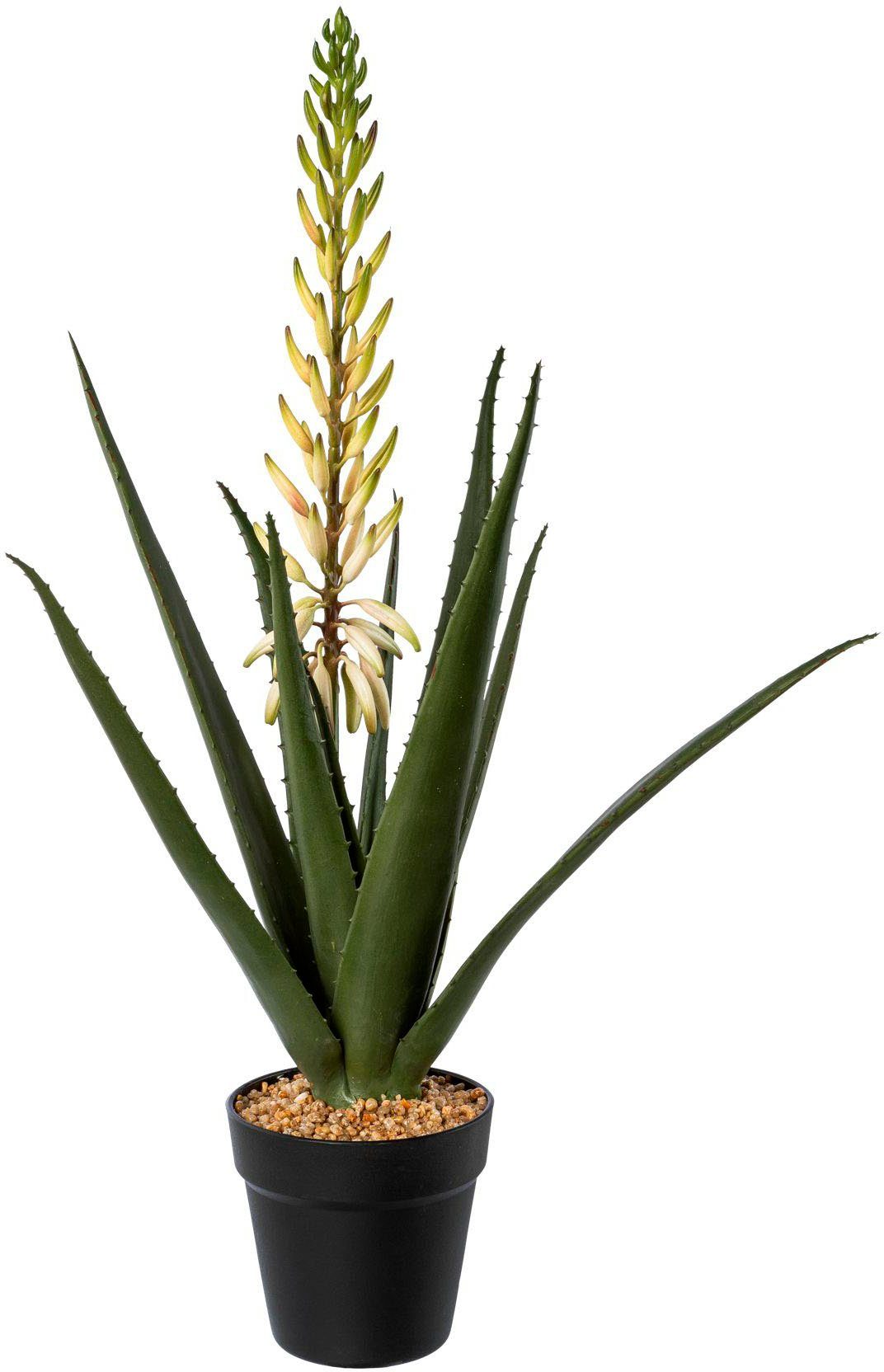 im Creativ cm Sukkulente, 65 Topf green, Höhe Aloe Zimmerpflanze mit Künstliche Blüte