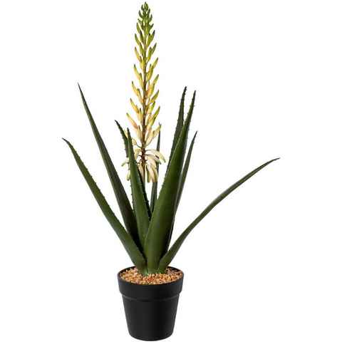 Künstliche Zimmerpflanze Aloe mit Blüte im Topf Sukkulente, Creativ green, Höhe 65 cm