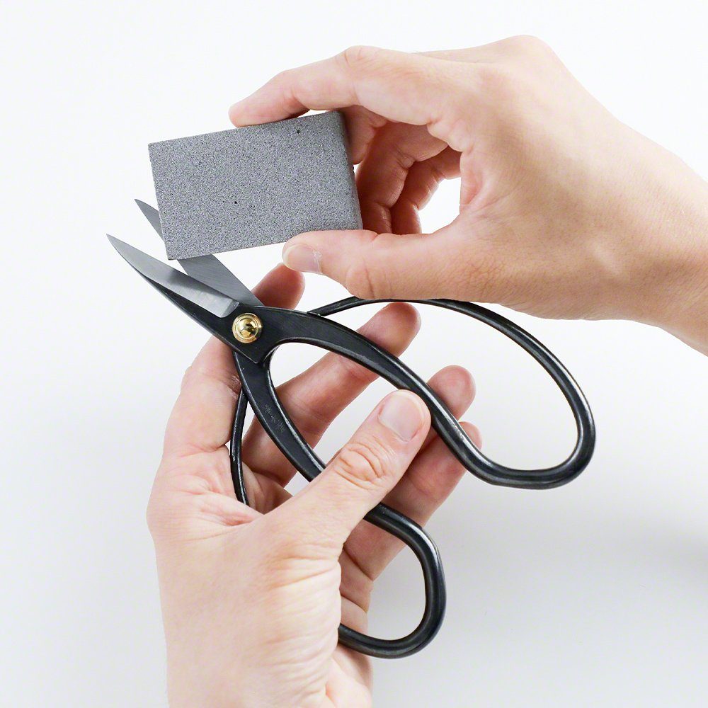 Wazakura Saftradierer für Bonsai-Gartengeräte Made in Japan Schmutzradierer