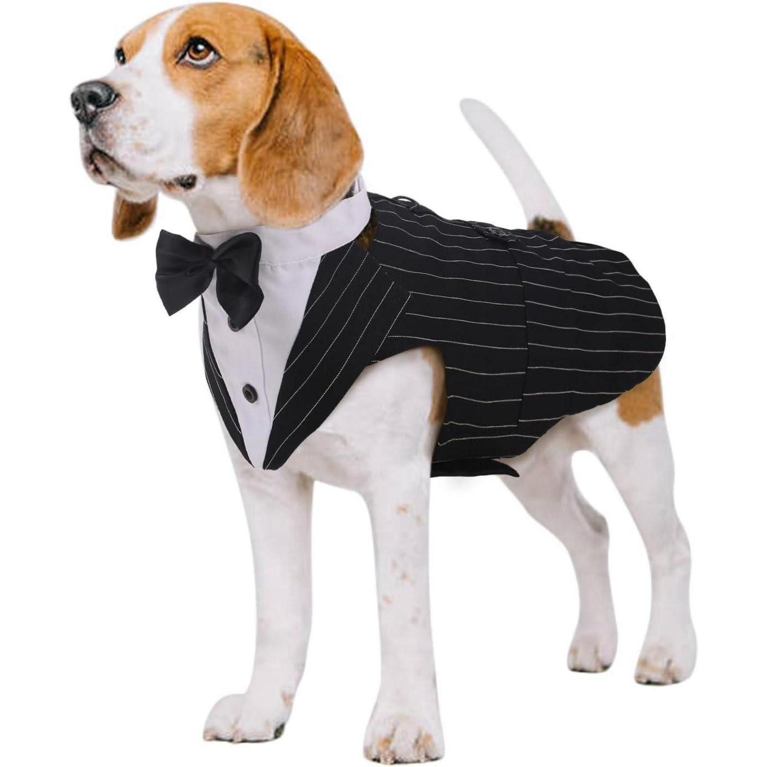 Kuoser Hundefliege Hund Smoking Anzug Bandana Set Hochzeit Halloween Party S-XXL