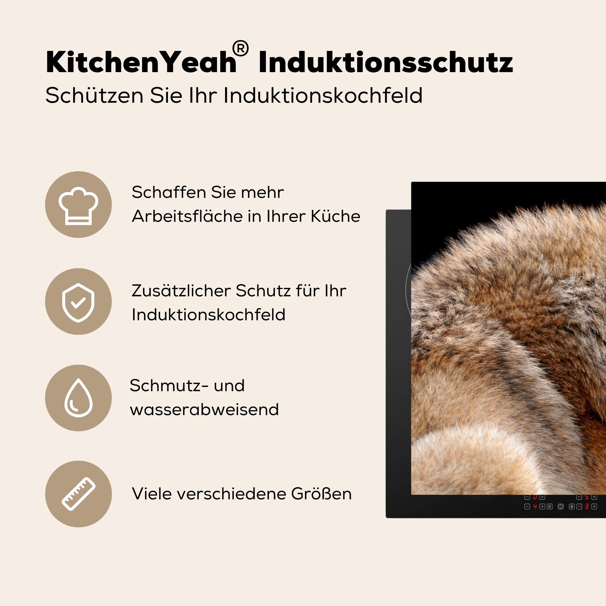 Induktionskochfeld Vinyl, (1 81x52 cm, die MuchoWow Herdblende-/Abdeckplatte küche, Brauner Wolf, Ceranfeldabdeckung Schutz tlg), für