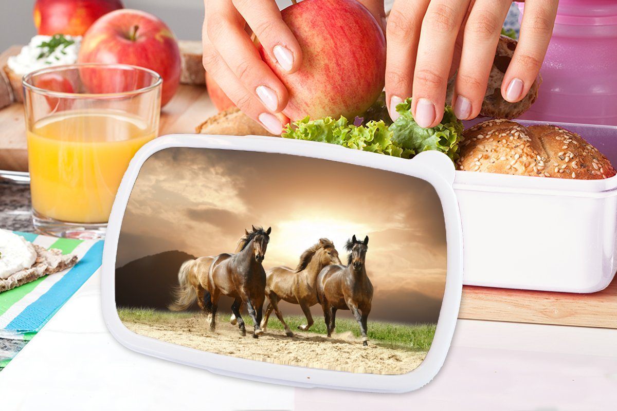 (2-tlg), und Lunchbox Sand Mädchen - und Kinder - MuchoWow Brotdose, für weiß Pferde Brotbox für Erwachsene, Jungs Sommer, Kunststoff,