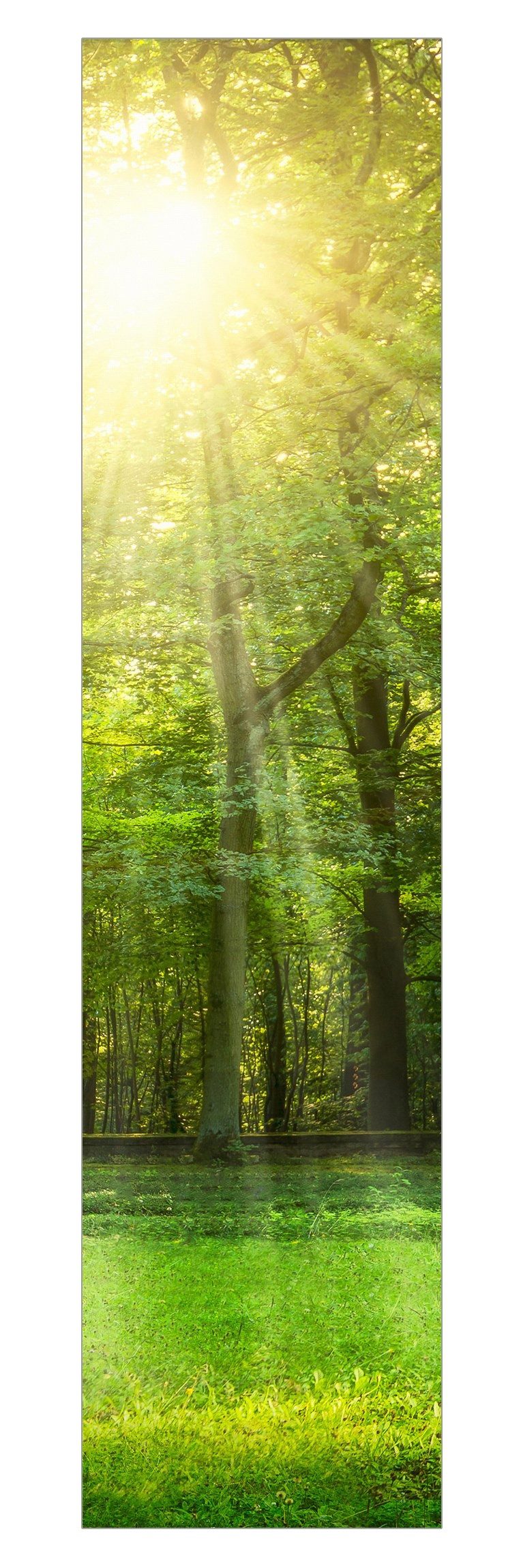 Bilderdepot24 Schiebegardine modern Flächenvorhang blickdicht Spaziergang im Wald (1 St), halbtransparent, Wohnzimmer große Flächengardine lichtdurchlässig für Klemm-System