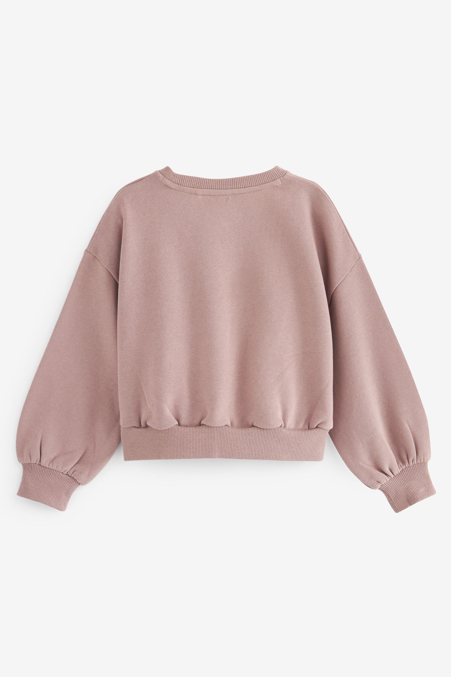 Brown Cropped Nerzfarben Sweatshirt Next (1-tlg) Sequin Rundhalsausschnitt mit Sweatshirt