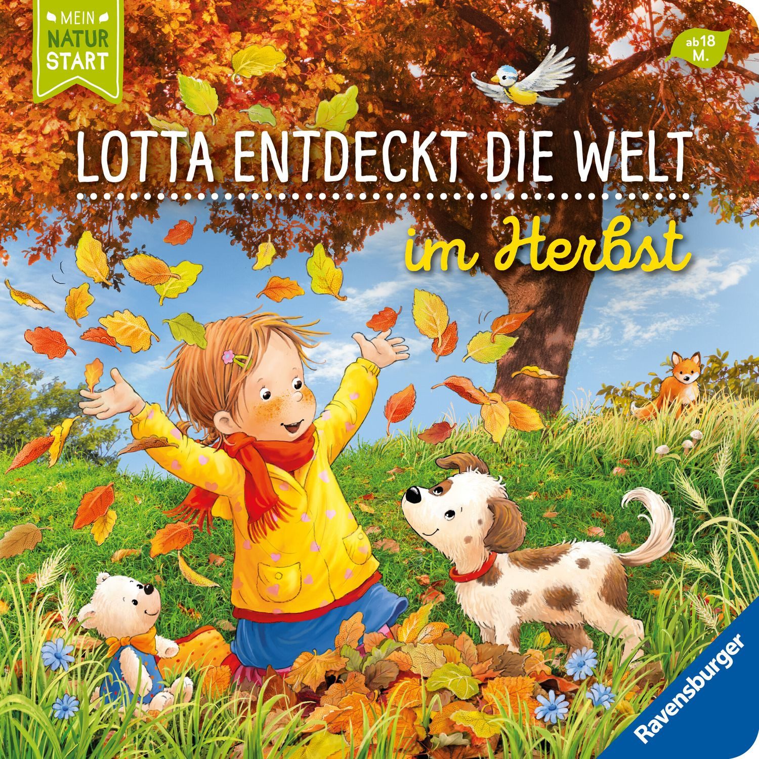 Lotta entdeckt die Welt: Im Herbst / Sandra Grimm