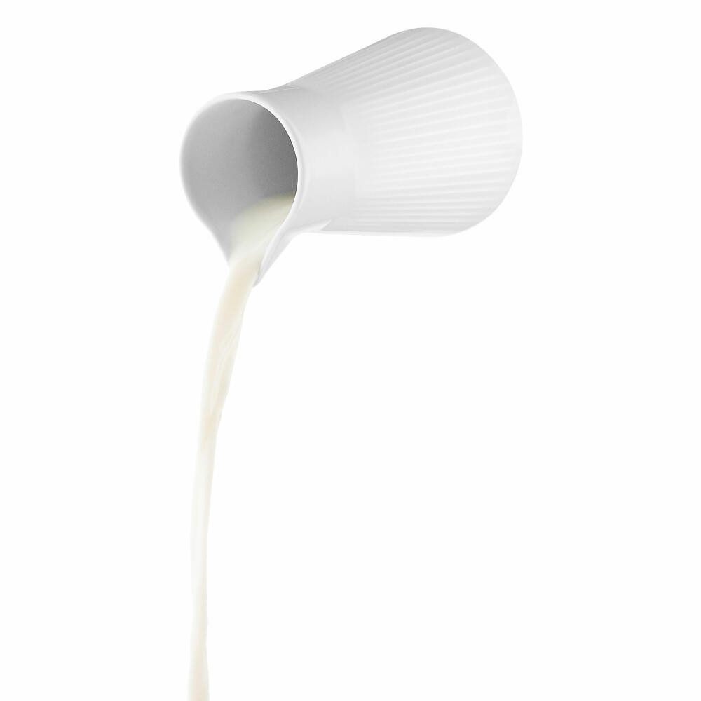 Eva Solo Kaffeekanne Legio Nova 0.5 L, 0,5 l