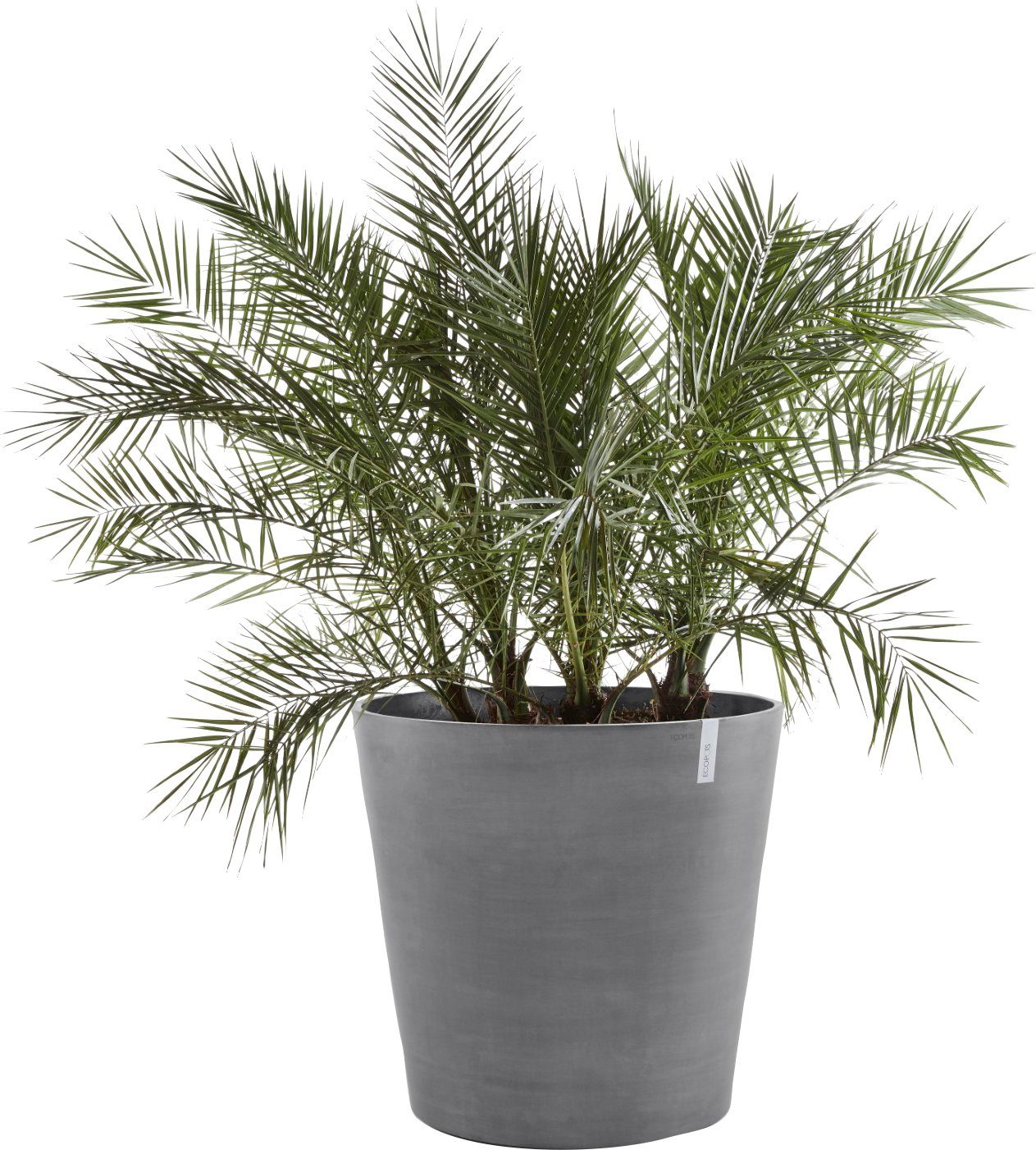 ECOPOTS Blumentopf AMSTERDAM WHEELS Grey, BxTxH: 60x60x56 cm. Reduzierter Preis € 179,89. Unverbindliche Preisempfehlung € 229,00