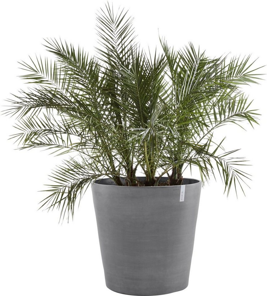 Thumbnail - ECOPOTS Blumentopf AMSTERDAM WHEELS Grey, BxTxH: 60x60x56 cm