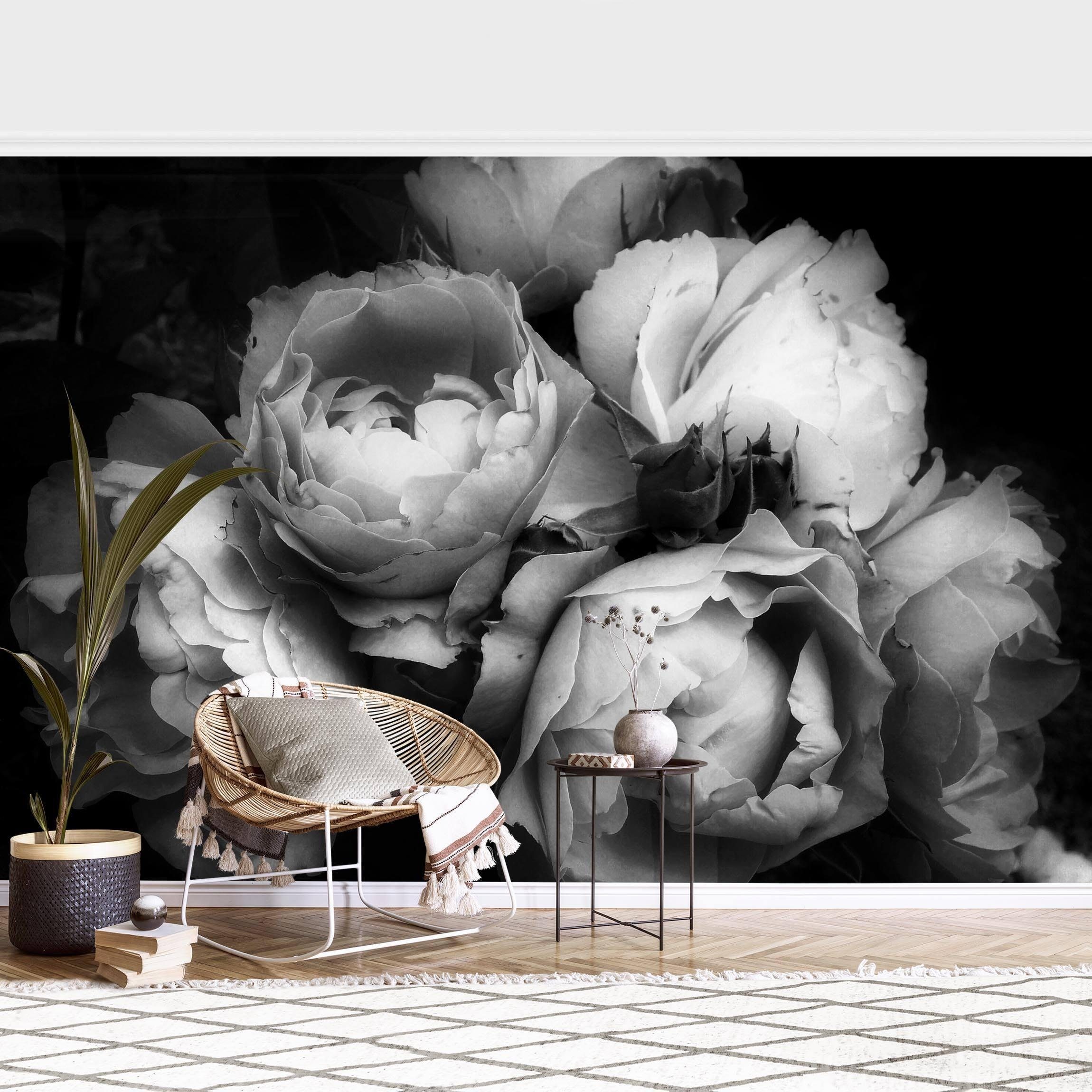 Fototapete Rosen Pfingstrosen Schwarz Shabby Schwarz-Weiß Blumen Natur Wanddeko