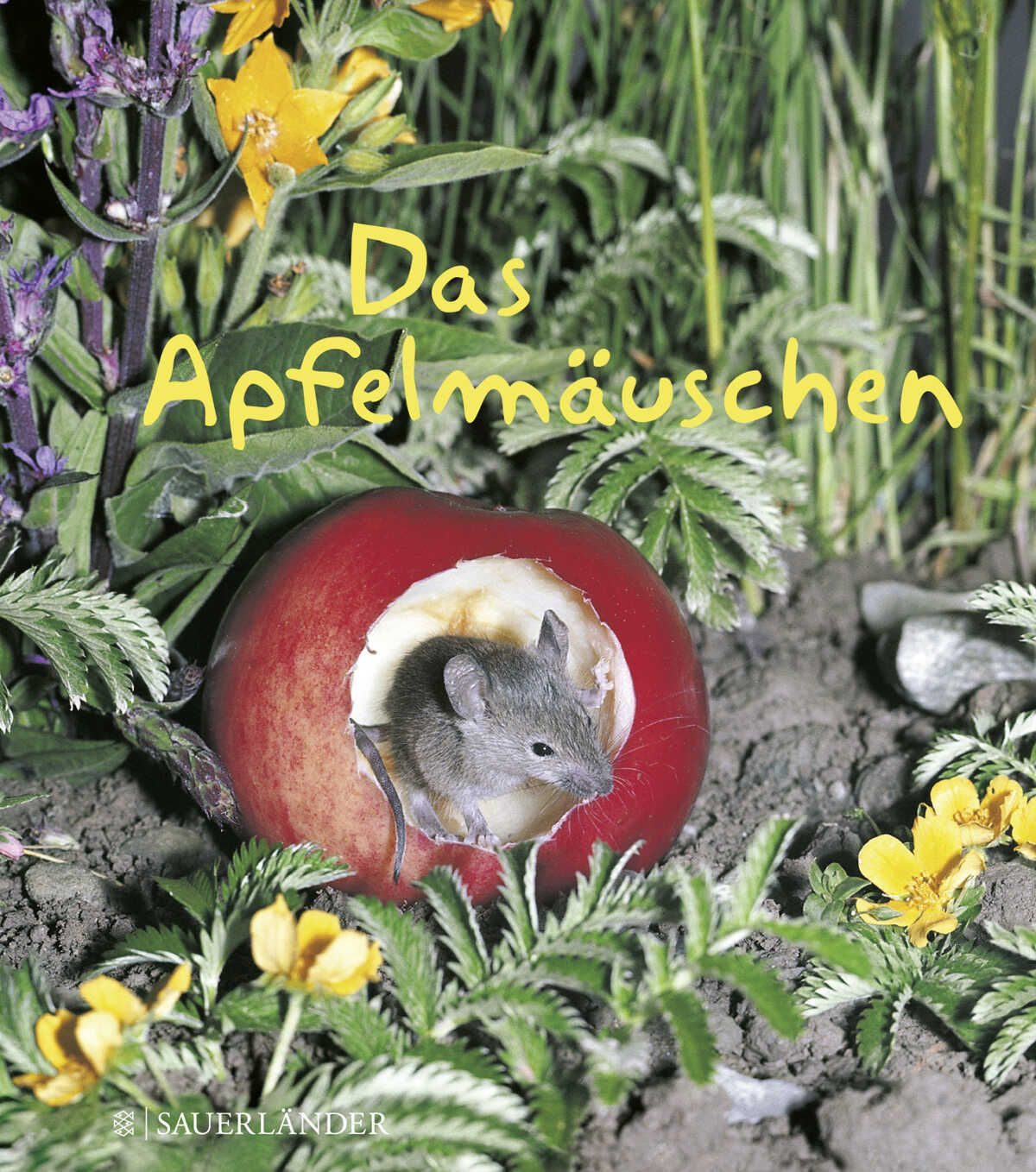 Das Apfelmäuschen (Mini-Ausgabe) Mini-Ausgabe / Mathilde Reich, Ulrich Thomas, X
