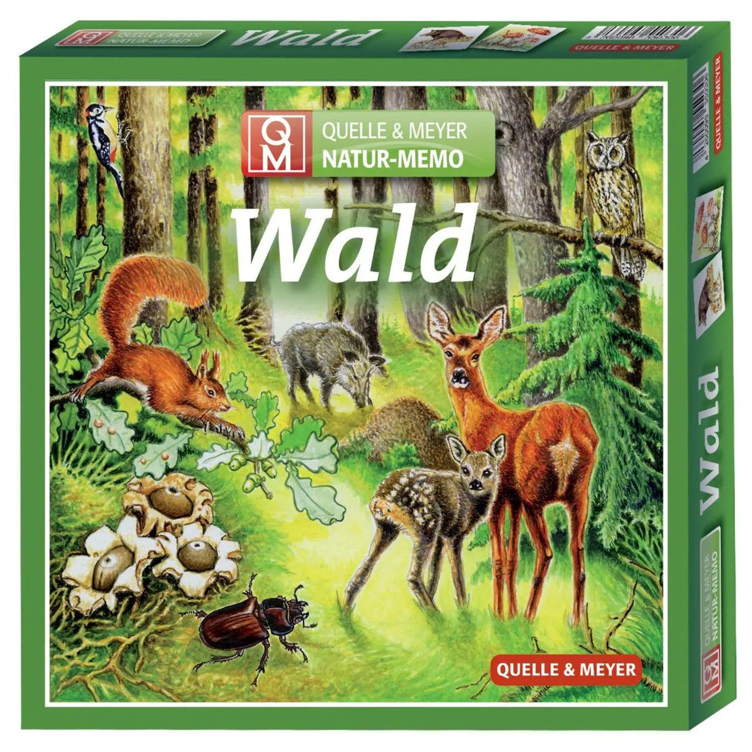 Meyer & Meyer Verlag Spiel Natur-Memo "Wald"