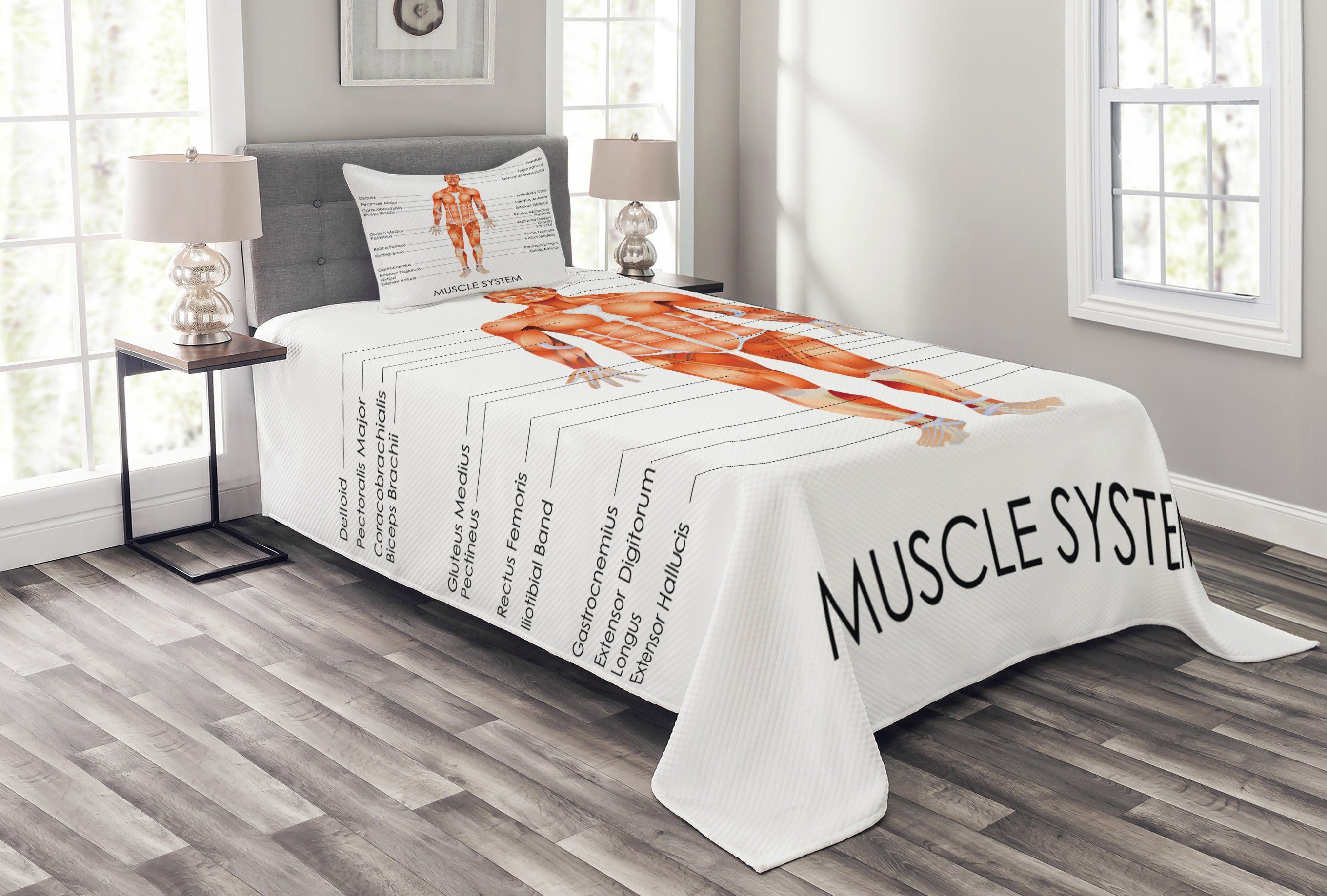 Abakuhaus, Tagesdecke Set Waschbar, Kissenbezügen Gesundheit Muskel-System mit Biologie