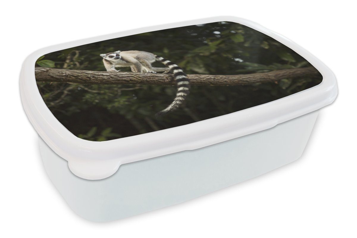 MuchoWow Lunchbox Affe - Zweig - Tier, Kunststoff, (2-tlg), Brotbox für Kinder und Erwachsene, Brotdose, für Jungs und Mädchen weiß