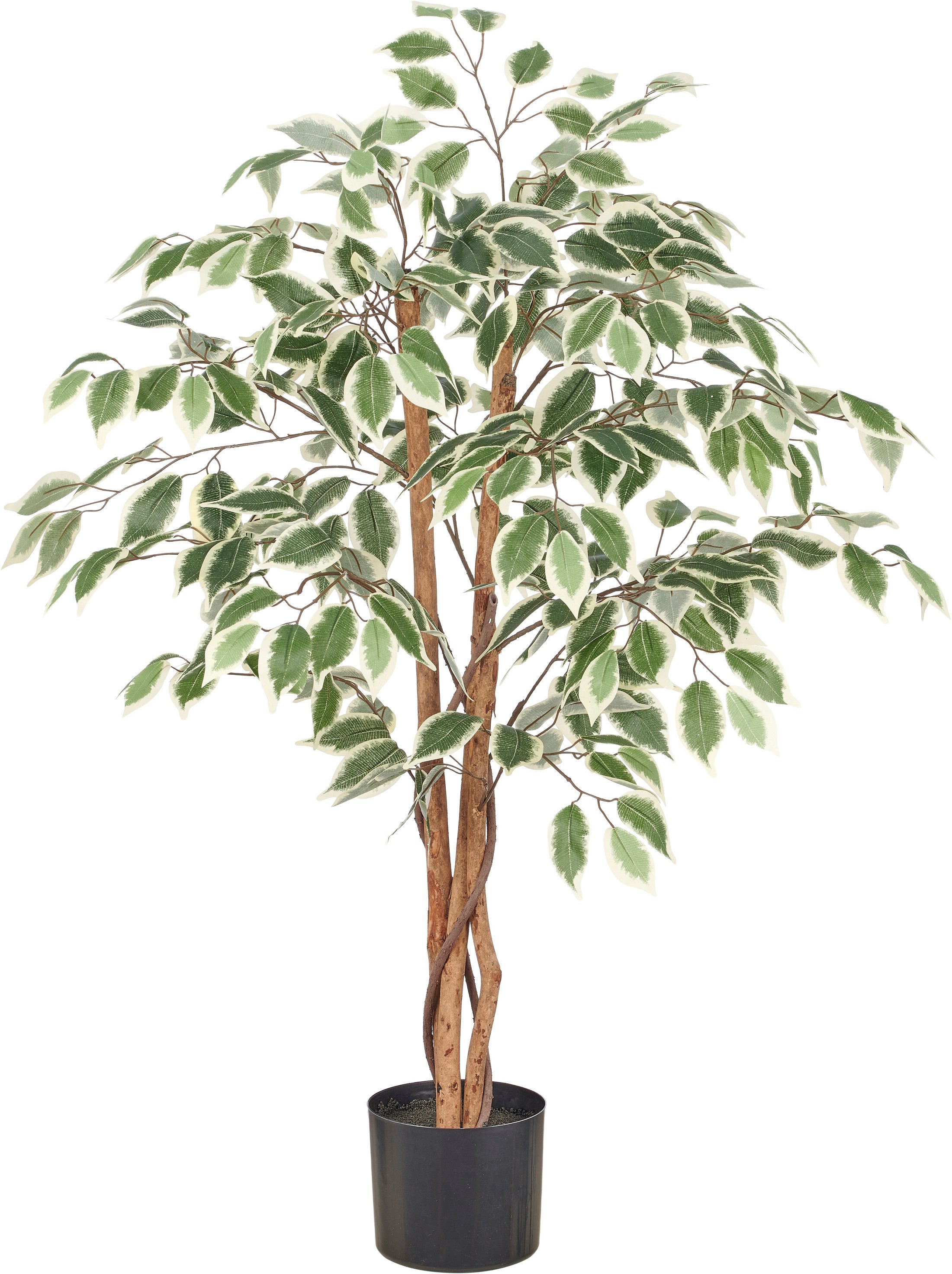 Kunstbaum Ficus hawai, Creativ green, Höhe 100 cm, mit schönem Blattwerk