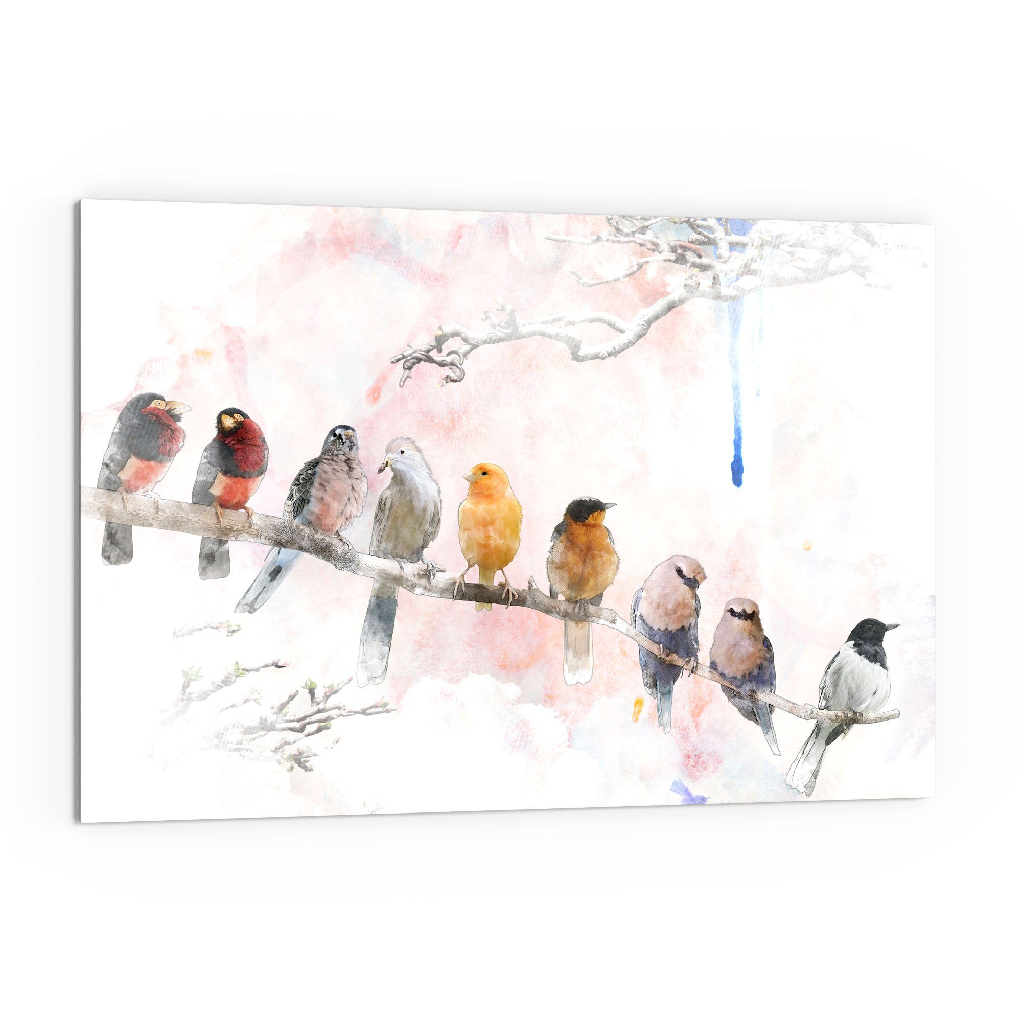 DEQORI Küchenrückwand 'Vögel auf einem Ast', Glas Spritzschutz Badrückwand Herdblende