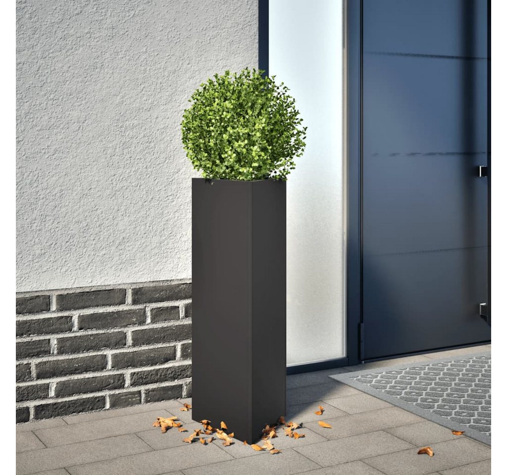 Thumbnail - vidaXL Hochbeet Pflanzkübel 2 Stk Schwarz Dreieckig 30x26x75 cm Stahl