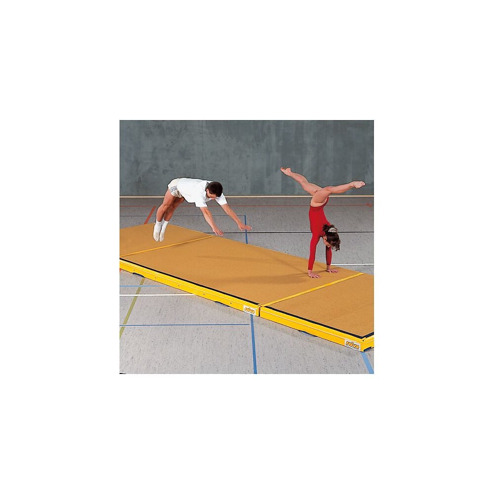 reivo Niedersprungmatte Niedersprungmatte Kombi, Ideal für den Schul- und Vereinssport geeignet