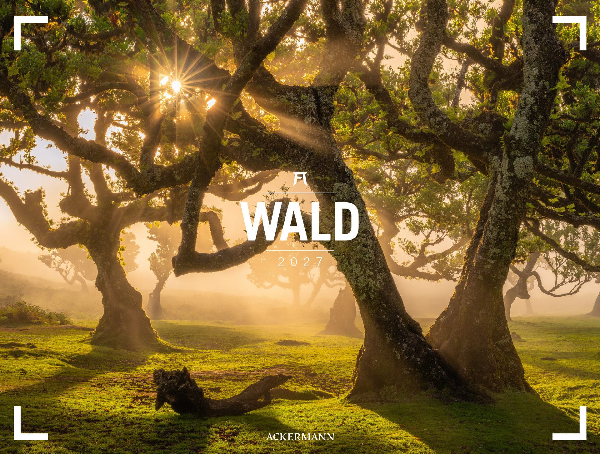 Wandkalender Wald Gallery Kalender 2027
