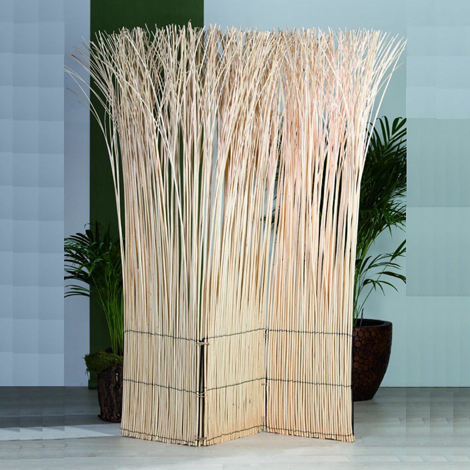 DESIGN DELIGHTS Paravent PARAVENT NATURE, 160X120CM(LXB), günstig online kaufen