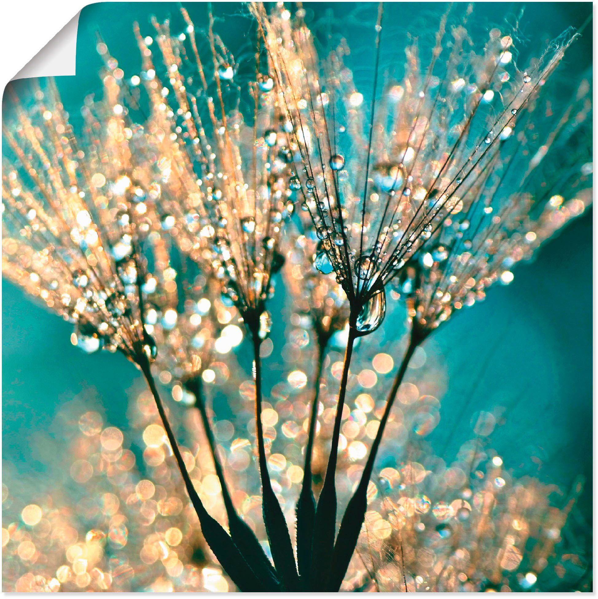 Artland Wandbild Pusteblume Schirmchen abstrakt, Blumen (1 St), als Leinwandbild, Poster in verschied. Größen