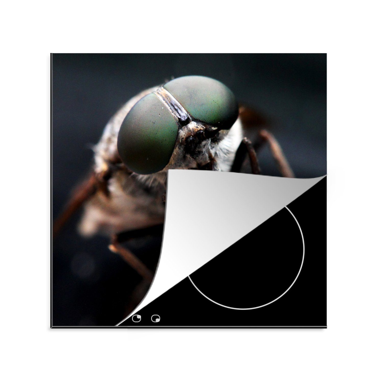 MuchoWow Herdblende-/Abdeckplatte Insekten - Fliege - Tiere, Vinyl, (1 tlg), 78x78 cm, Ceranfeldabdeckung, Arbeitsplatte für küche