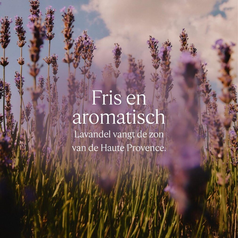 L'OCCITANE Körperpflegemittel KARIT CONFORT Lavendel-Flüssigseife, Nachfüllpackung, 500 ml