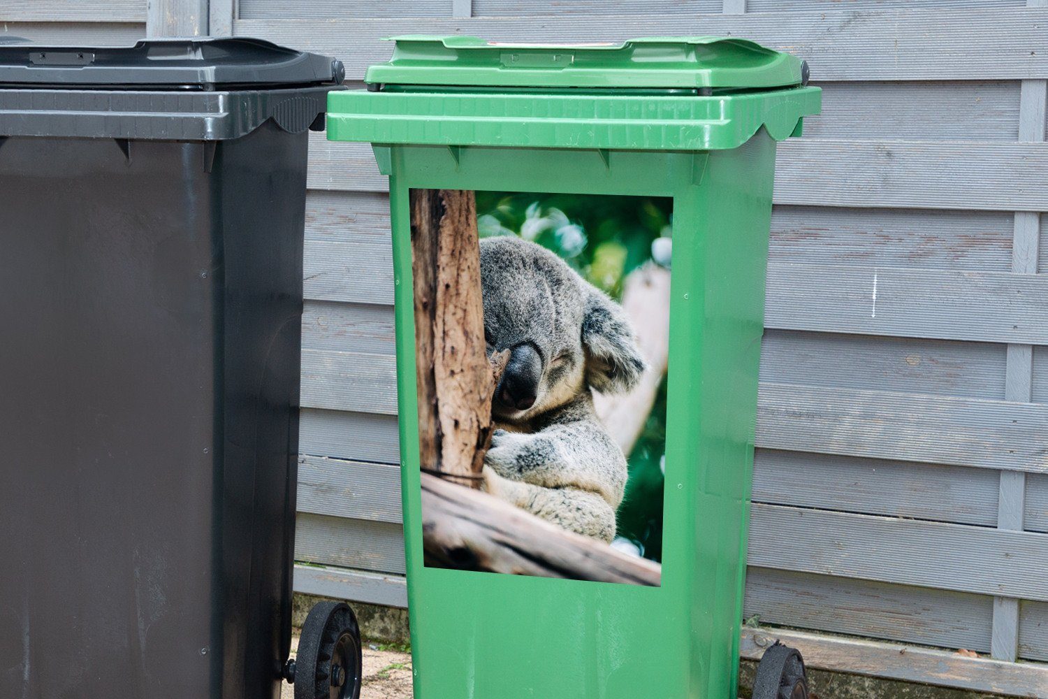 MuchoWow - Mülltonne, Container, Mülleimer-aufkleber, (1 Wandsticker Koala Baum St), Sticker, Tier - Abfalbehälter