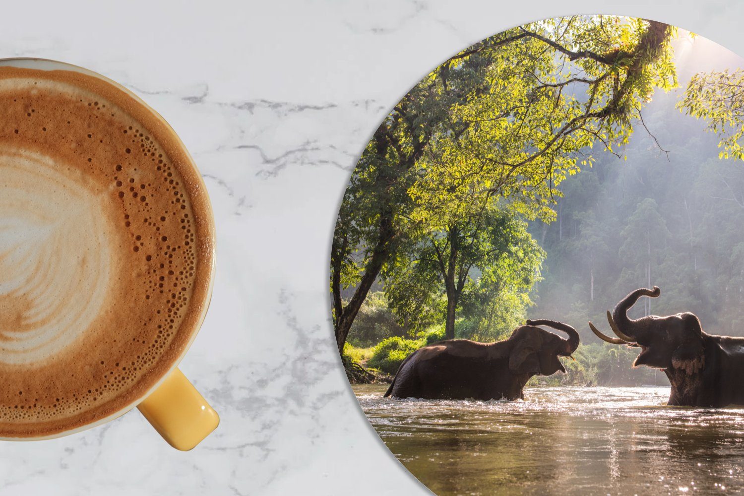 MuchoWow Glasuntersetzer Elefant - Wasser Tasse, Korkuntersetzer, - Bäume für - 6-tlg., Gläser, Sonne, Tiere Becher - Tassenuntersetzer, Zubehör Getränkeuntersetzer