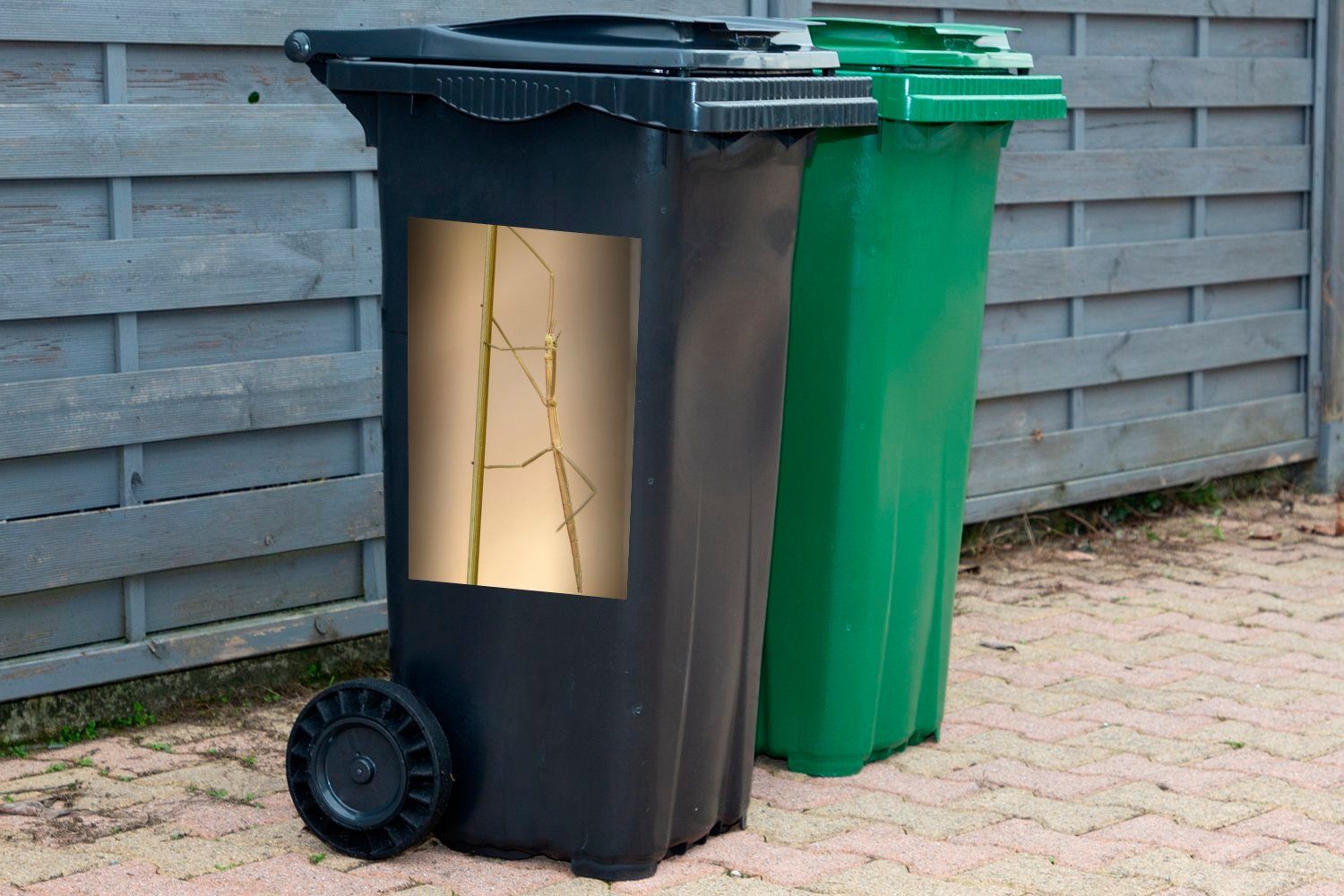 MuchoWow Wandsticker auf sitzt (1 Sticker, Mülltonne, Mülleimer-aufkleber, St), Container, Grashalm Eine Abfalbehälter Stabheuschrecke einem
