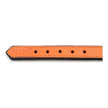 Gloria Hundeleine Gloria Hundehalsband Polsterung Orange 50 x 2,5 cm, Leder