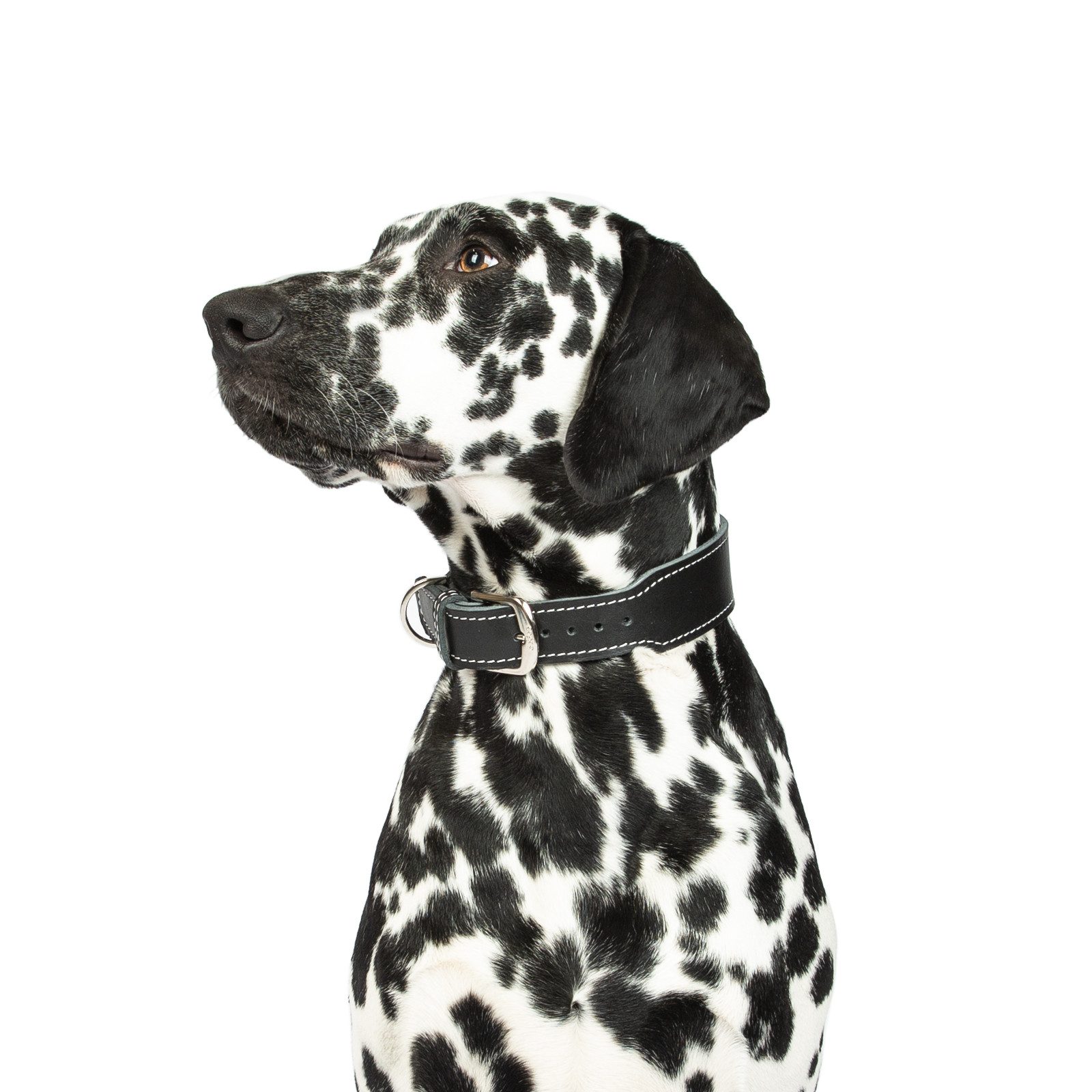 CopcoPet Hunde-Halsband Hundehalsband - Zoe, Robust, nachhaltig, Naturprodukt. Handgefertigt