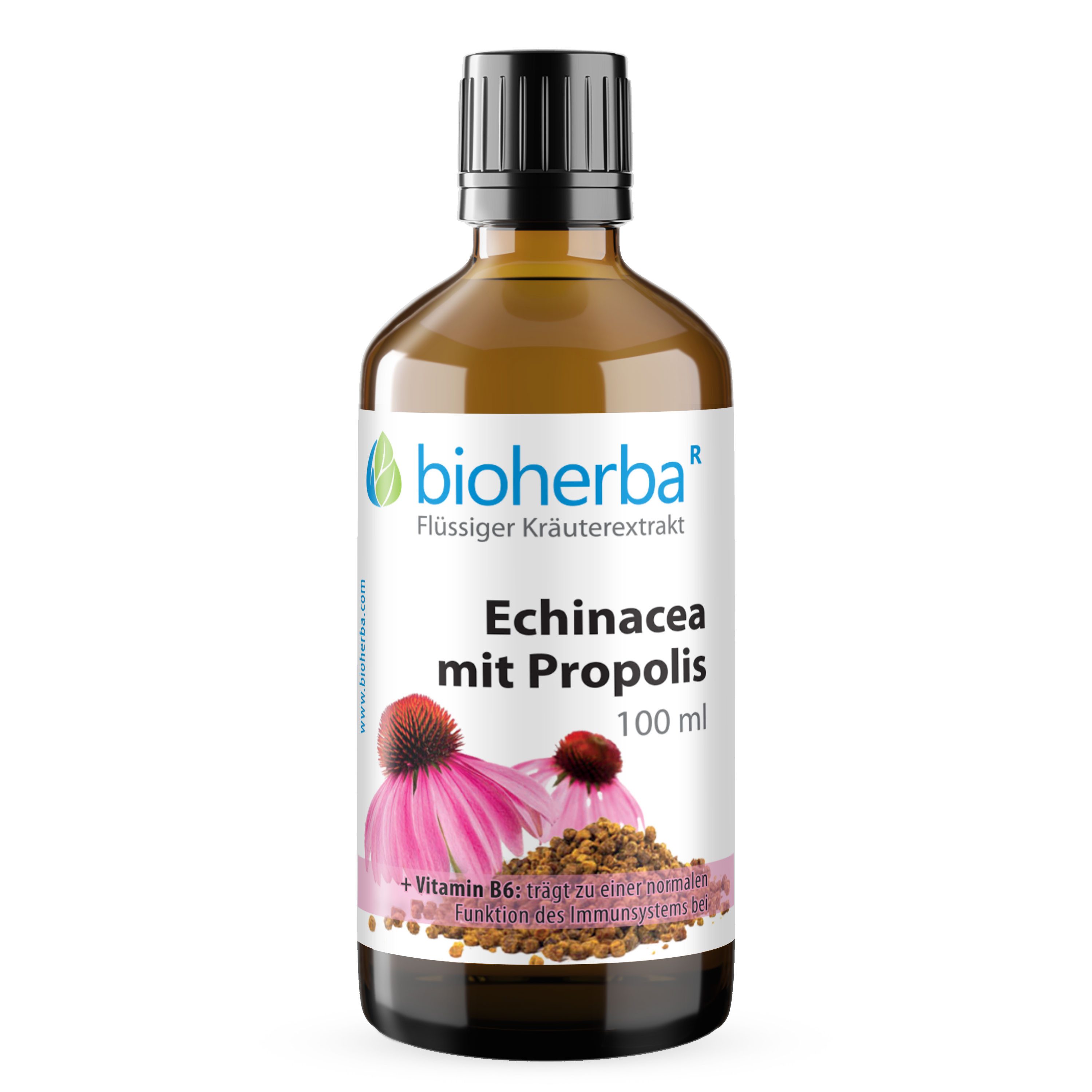 BIOHERBA R Bioherba Echinacea mit Propolis Tropfen Tinktur 100 ml Nahrungsergänzungsmittel, 1 er