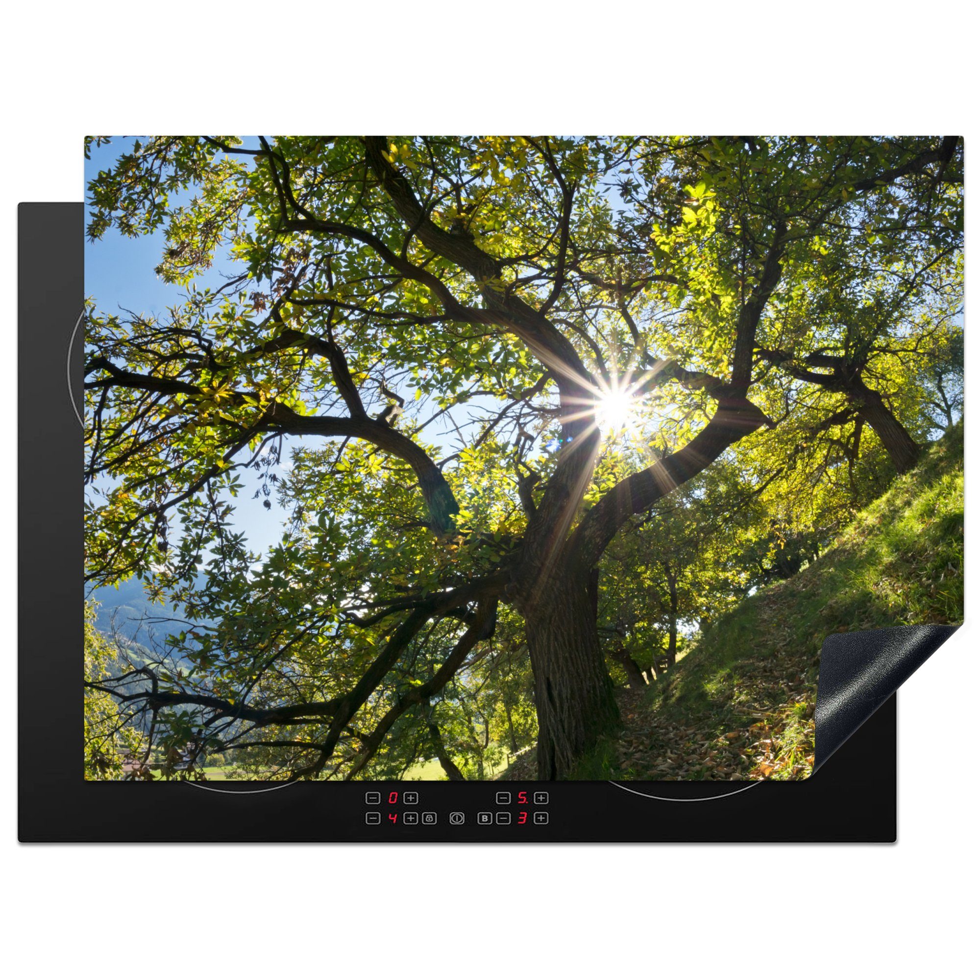 MuchoWow Herdblende-/Abdeckplatte Ein Kastanienbaum im Herbst in Italien, Vinyl, (1 tlg), 70x52 cm, Mobile Arbeitsfläche nutzbar, Ceranfeldabdeckung