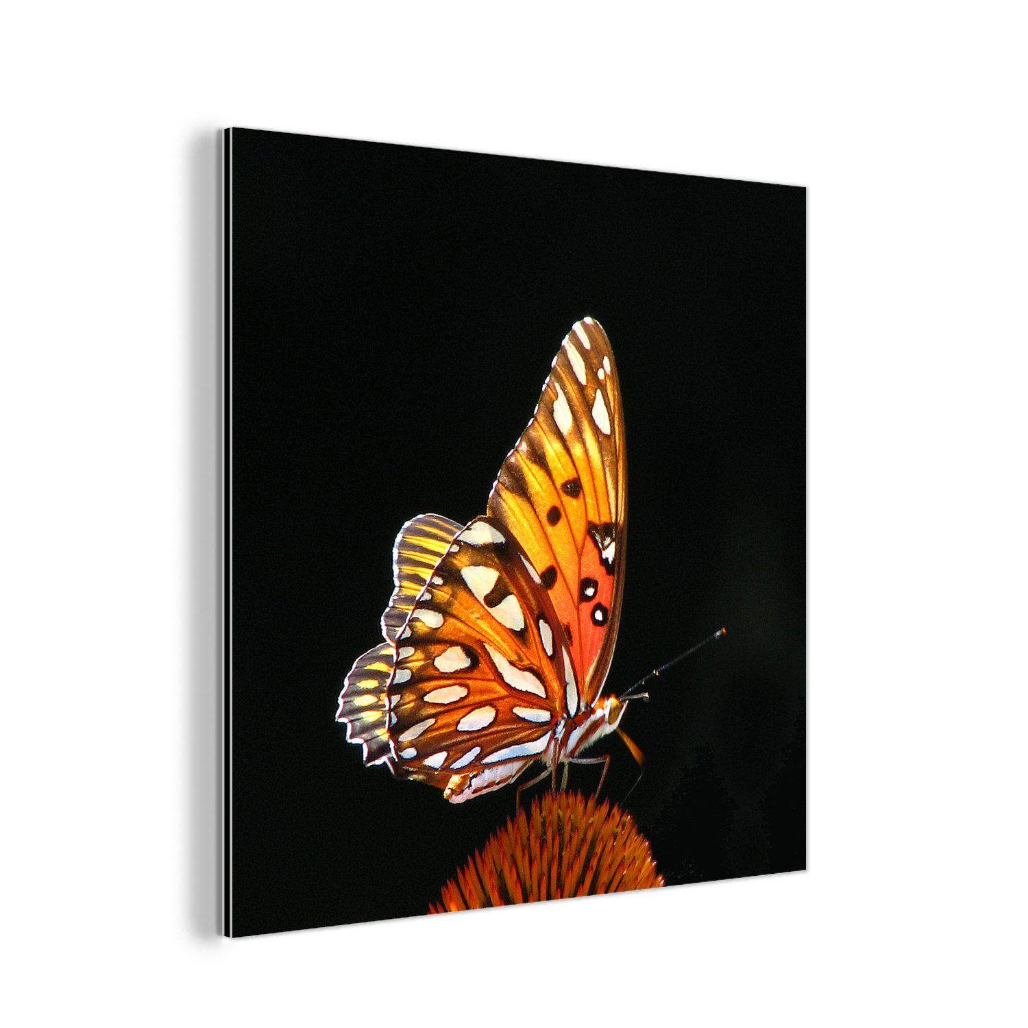 MuchoWow Metallbild Schmetterling - Blumen - Insekt - Porträt - Schwarz - Orange, (1 St), Alu-Dibond-Druck, Gemälde aus Metall, Aluminium deko