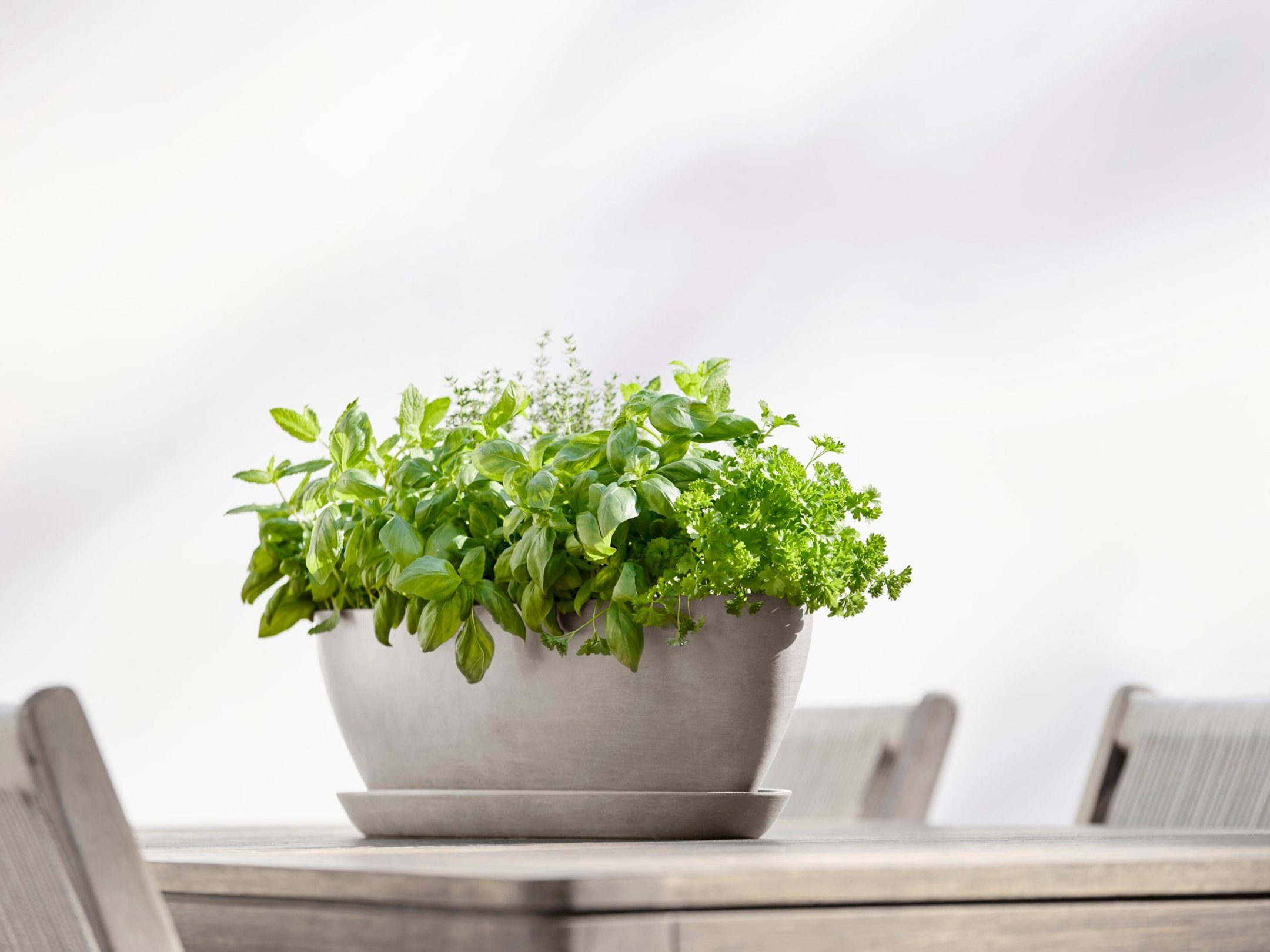 ECOPOTS Blumentopf Sofia lang 56 Taupe, günstig online kaufen