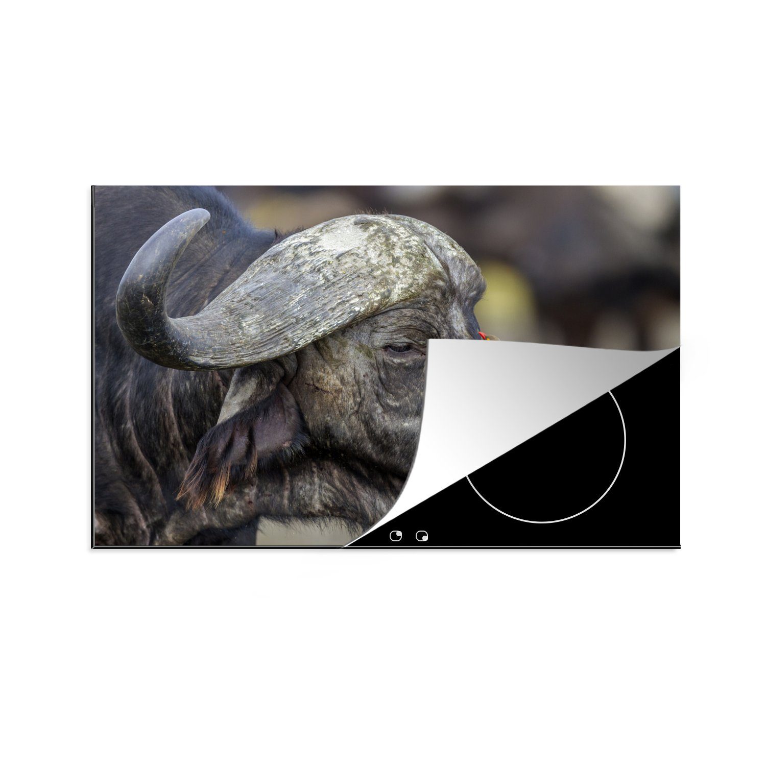MuchoWow Herdblende-/Abdeckplatte Büffel - Vogel - Tiere, Vinyl, (1 tlg), 81x52 cm, Induktionskochfeld Schutz für die küche, Ceranfeldabdeckung