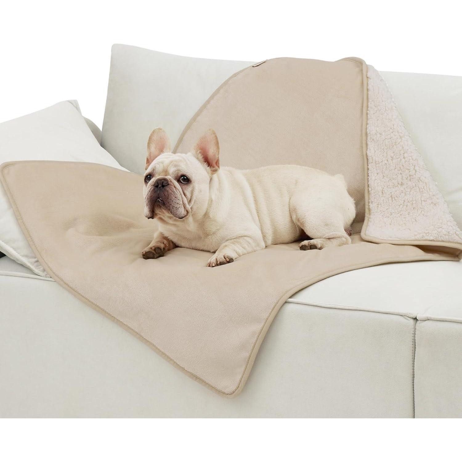 LuxusKollektion Tierdecke Hundedecke wasserdichte waschbar Sherpafleece M (80x100cm) Cremefarben
