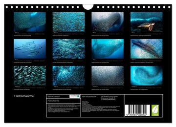 CALVENDO Wandkalender Fischschwärme (Wandkalender 2024 DIN A4 quer), CALVENDO Monatskalender