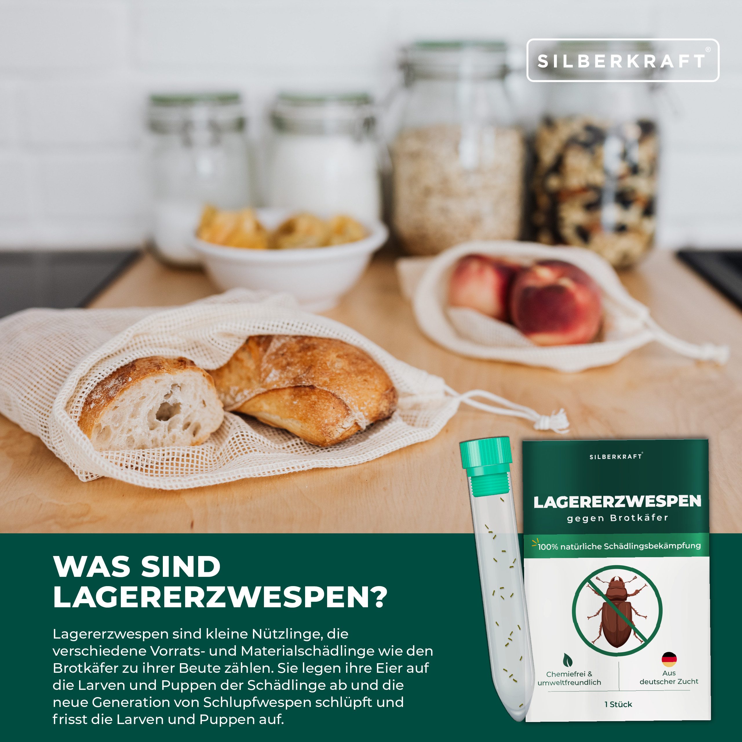 Silberkraft Insektenvernichter Lagererzwespen gegen Brotkäfer, Kornkäfer, Kugelkäfer, Tabakkäfer, Schädlingsbekämpfung mit Nützlingen, Haushalt & Lagerflächen – Bild 4 von 5