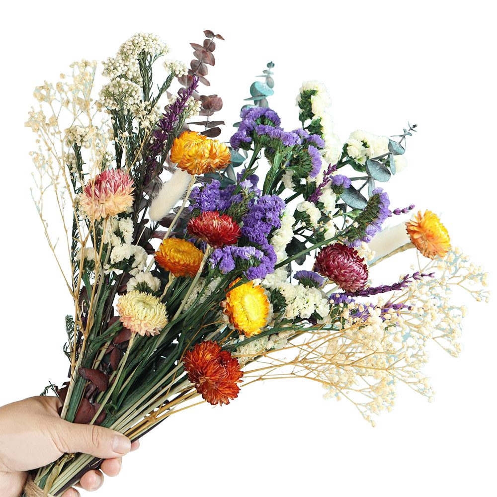 Trockenblume Trockenblumenstrauß Groß Set, Brautstrauß Trockenblumen Strauß, Diwzbyn, Groß zum Basteln Strohblumen Getrocknet für Wohnzimmer Home