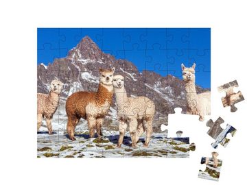 puzzleYOU Puzzle Lama: Gruppe von Lamas im Schnee, Anden, Peru, 48 Puzzleteile, puzzleYOU-Kollektionen Natur
