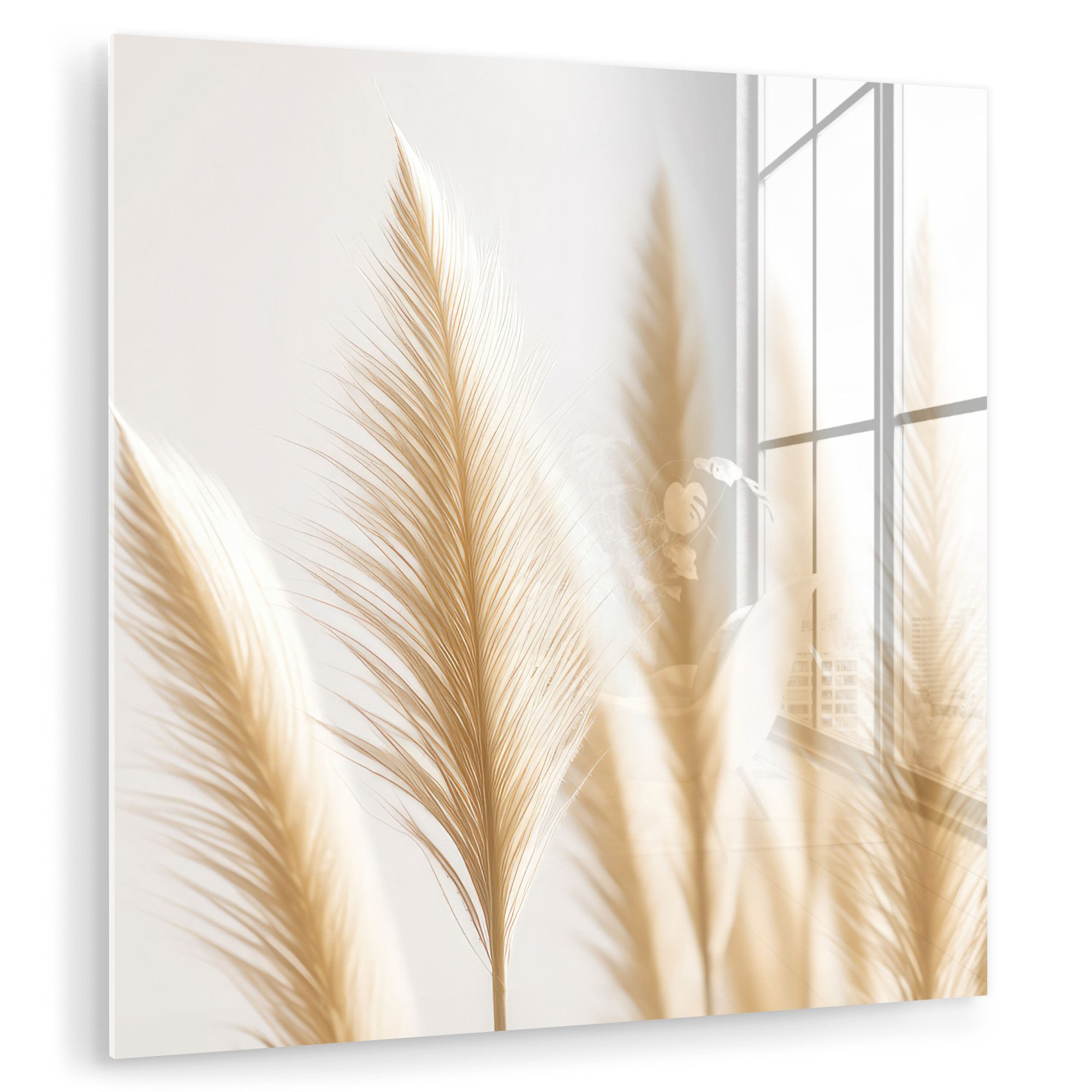MuchoWow Acrylglasbild Pampasgras - Federn - Beige - Natur, Inkl. Aufhängung, Bilder auf Glas Wandbild, Wanddeko Wohnzimmer Badezimmer, 20x20 cm