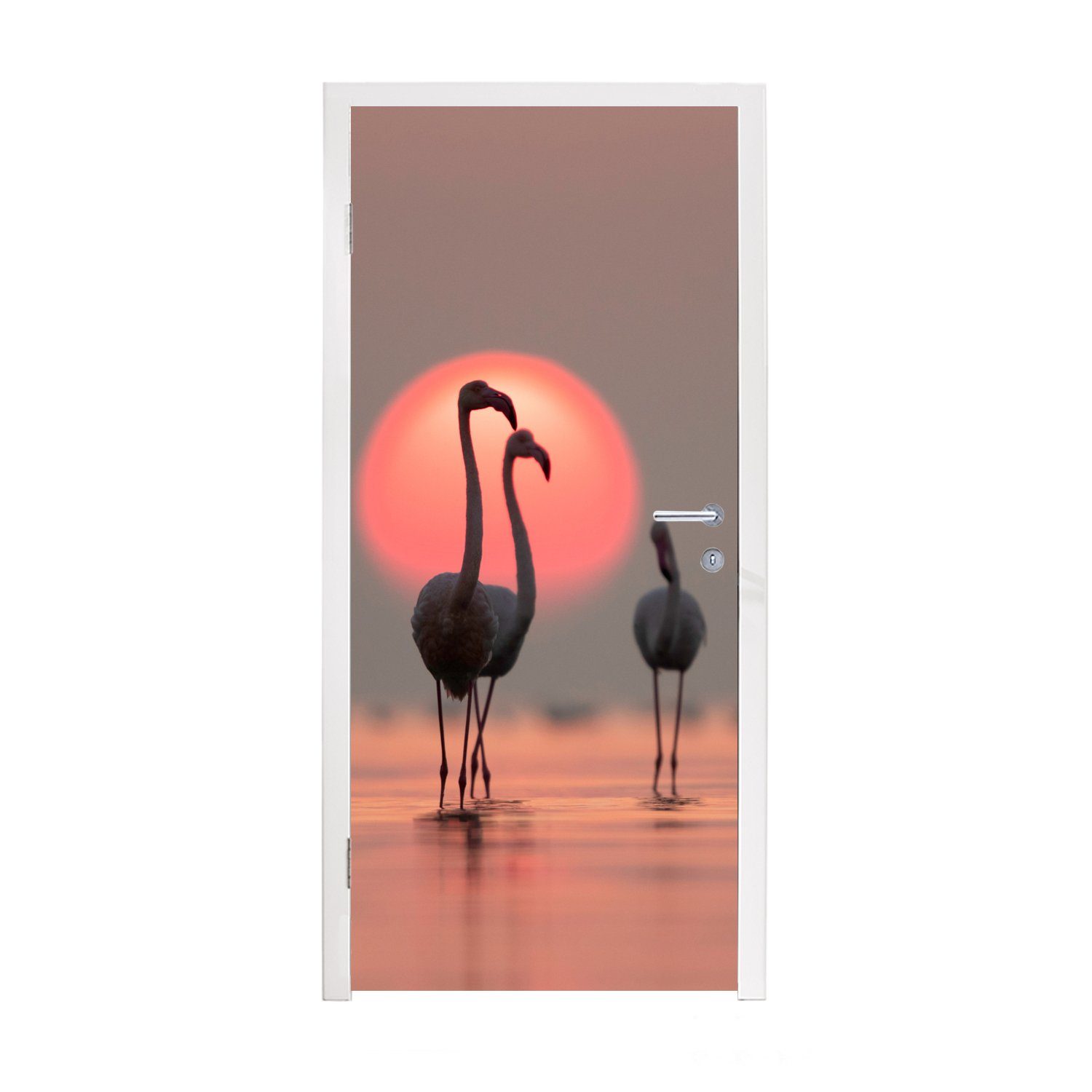 Flamingo Türaufkleber, - Türtapete 75x205 - (1 Matt, cm bedruckt, - Tür, Fototapete Vogel Rosa, St), Sonnenuntergang für MuchoWow