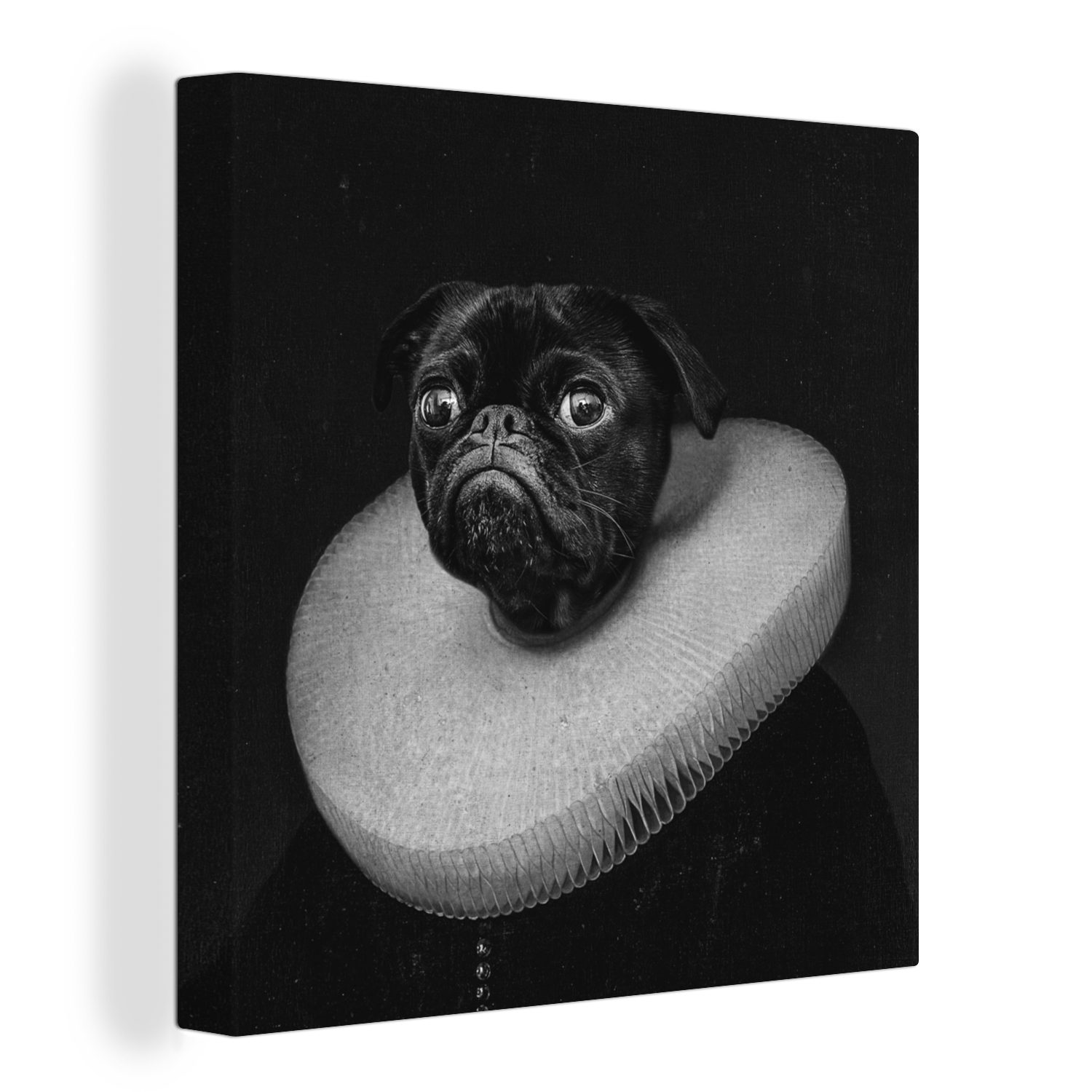 OneMillionCanvasses® Leinwandbild Hund - Kleidung - Mittelalter, Fotodruck (1 St), Wandbild, Deko Schlafzimmer Wohnzimmer Flur 20x20 cm