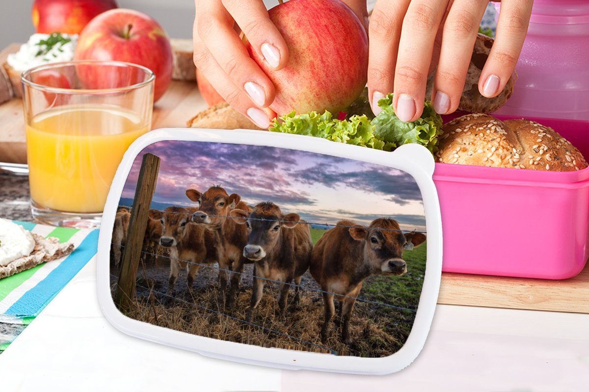 Brotdose - Kuh Erwachsene, Brotbox Tiere rosa MuchoWow für Kunststoff, (2-tlg), Mädchen, Kühe, Kunststoff - Kinder, Lunchbox Snackbox,